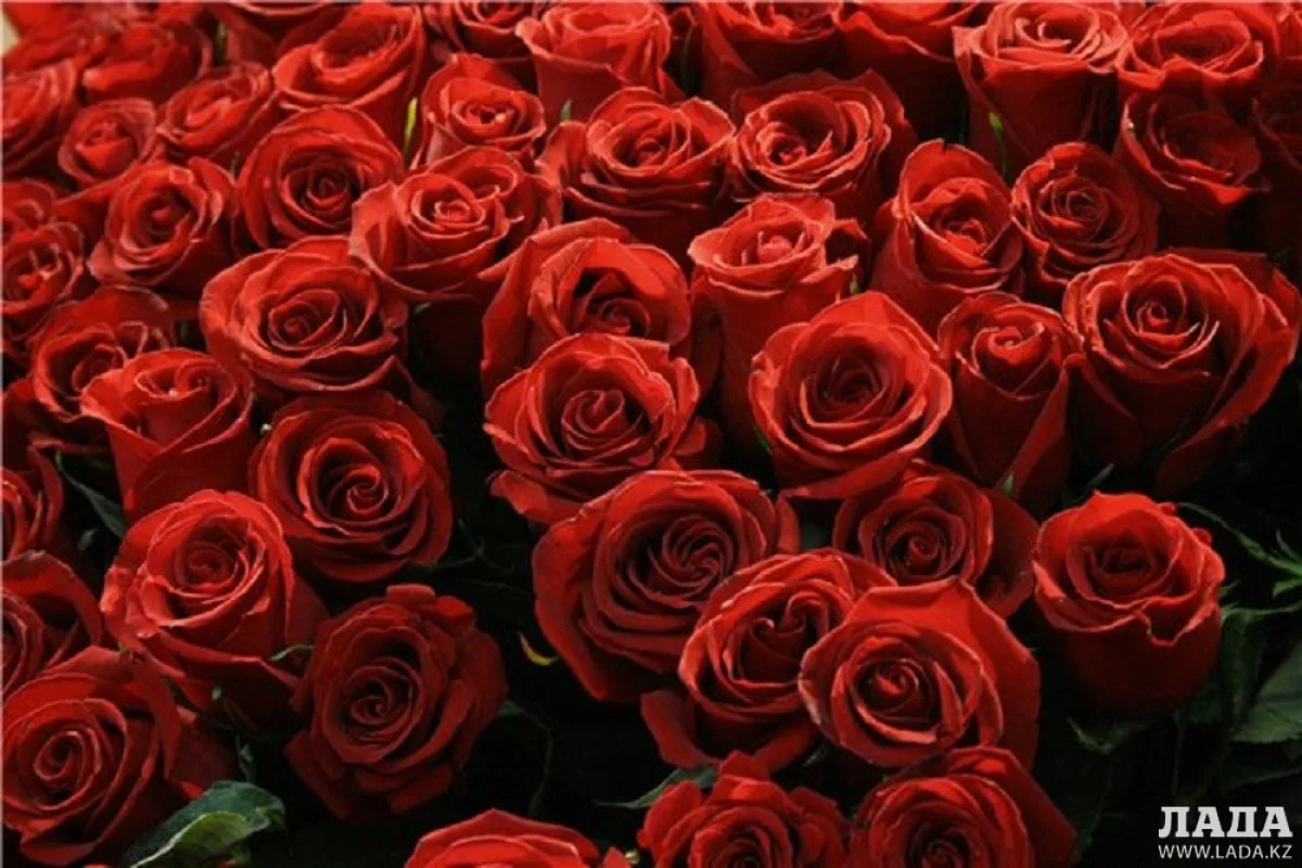 Фото lentachel.ru