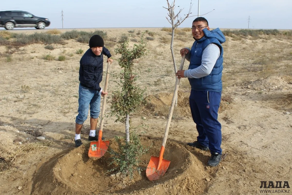 Участники акции «100 шагов - 100 саженцев». Фото автора||news_pic_more|<!--TBegin--><a href="https://img.lada.kz/2015-11/1446637393_img_4814.jpg" onclick="return hs.expand(this)" ><img src="https://img.lada.kz/2015-11/thumbs/1446637393_img_4814.jpg" alt='Молодежь Актау высадила деревья вдоль дороги в аэропорт' title='Молодежь Актау высадила деревья вдоль дороги в аэропорт'  /></a><!--TEnd--><br /><!--TBegin--><a href="https://img.lada.kz/2015-11/1446637403_img_4818.jpg" onclick="return hs.expand(this)" ><img src="https://img.lada.kz/2015-11/thumbs/1446637403_img_4818.jpg" alt='Молодежь Актау высадила деревья вдоль дороги в аэропорт' title='Молодежь Актау высадила деревья вдоль дороги в аэропорт'  /></a><!--TEnd--><br /><!--TBegin--><a href="https://img.lada.kz/2015-11/1446637341_img_4824.jpg" onclick="return hs.expand(this)" ><img src="https://img.lada.kz/2015-11/thumbs/1446637341_img_4824.jpg" alt='Молодежь Актау высадила деревья вдоль дороги в аэропорт' title='Молодежь Актау высадила деревья вдоль дороги в аэропорт'  /></a><!--TEnd--><br /><!--TBegin--><a href="https://img.lada.kz/2015-11/1446637406_img_4833.jpg" onclick="return hs.expand(this)" ><img src="https://img.lada.kz/2015-11/thumbs/1446637406_img_4833.jpg" alt='Молодежь Актау высадила деревья вдоль дороги в аэропорт' title='Молодежь Актау высадила деревья вдоль дороги в аэропорт'  /></a><!--TEnd-->