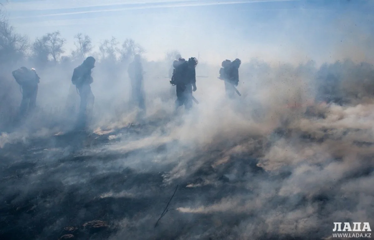 Ликвидация пожара в Астраханском государственном заповеднике. Фото tass.ru