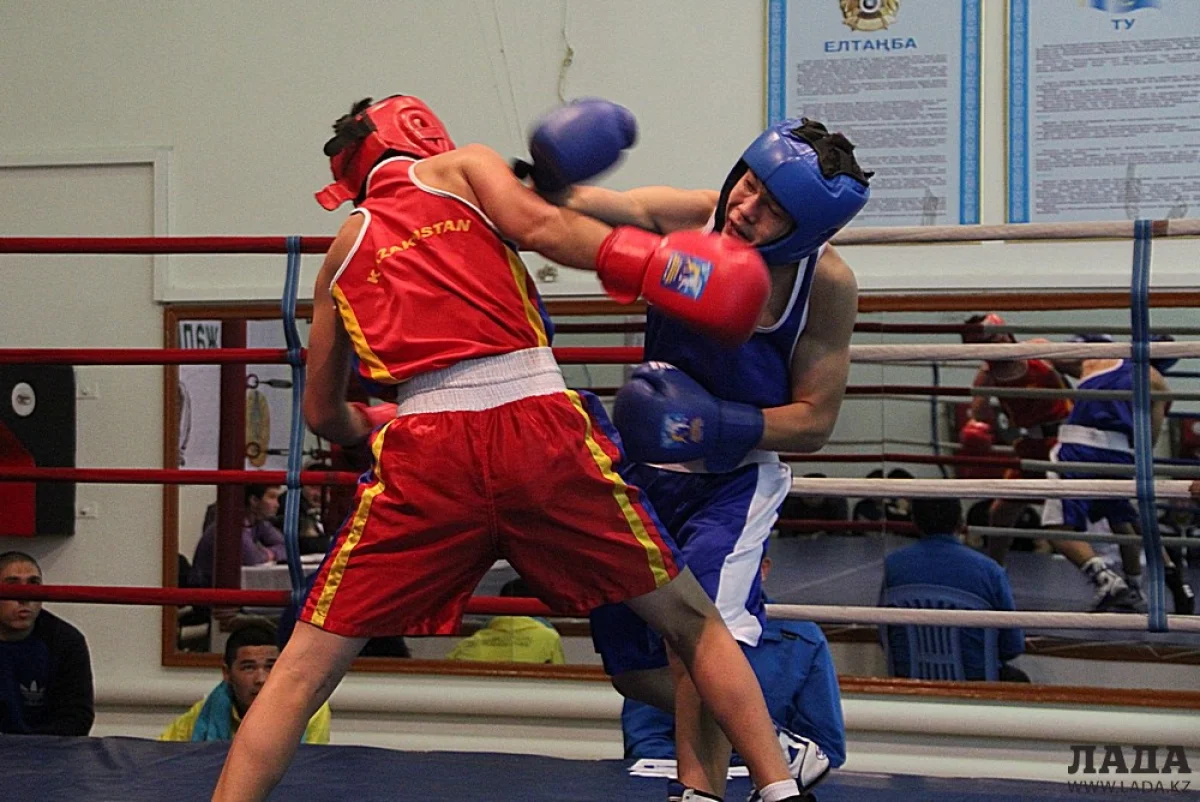 В течении четырех дней боксеры показывали на ринге свое мастерство. Фото автора||news_pic_more|<!--TBegin--><a href="https://img.lada.kz/2015-11/1447050337_img_9504.jpg" onclick="return hs.expand(this)" ><img align="left" src="https://img.lada.kz/2015-11/thumbs/1447050337_img_9504.jpg" alt='Названы победители турнира Мангистауской области по боксу' title='Названы победители турнира Мангистауской области по боксу'  /></a><!--TEnd--><br /><!--TBegin--><a href="https://img.lada.kz/2015-11/1447050335_img_9506.jpg" onclick="return hs.expand(this)" ><img align="left" src="https://img.lada.kz/2015-11/thumbs/1447050335_img_9506.jpg" alt='Названы победители турнира Мангистауской области по боксу' title='Названы победители турнира Мангистауской области по боксу'  /></a><!--TEnd--><br /><!--TBegin--><a href="https://img.lada.kz/2015-11/1447050354_img_9509.jpg" onclick="return hs.expand(this)" ><img align="left" src="https://img.lada.kz/2015-11/thumbs/1447050354_img_9509.jpg" alt='Названы победители турнира Мангистауской области по боксу' title='Названы победители турнира Мангистауской области по боксу'  /></a><!--TEnd--><br /><!--TBegin--><a href="https://img.lada.kz/2015-11/1447050405_img_9512.jpg" onclick="return hs.expand(this)" ><img align="left" src="https://img.lada.kz/2015-11/thumbs/1447050405_img_9512.jpg" alt='Названы победители турнира Мангистауской области по боксу' title='Названы победители турнира Мангистауской области по боксу'  /></a><!--TEnd--><br /><!--TBegin--><a href="https://img.lada.kz/2015-11/1447050329_img_9514.jpg" onclick="return hs.expand(this)" ><img align="left" src="https://img.lada.kz/2015-11/thumbs/1447050329_img_9514.jpg" alt='Названы победители турнира Мангистауской области по боксу' title='Названы победители турнира Мангистауской области по боксу'  /></a><!--TEnd--><br /><!--TBegin--><a href="https://img.lada.kz/2015-11/1447050359_img_9515.jpg" onclick="return hs.expand(this)" ><img align="left" src="https://img.lada.kz/2015-11/thumbs/1447050359_img_9515.jpg" alt='Названы победители турнира Мангистауской области по боксу' title='Названы победители турнира Мангистауской области по боксу'  /></a><!--TEnd--><br /><!--TBegin--><a href="https://img.lada.kz/2015-11/1447050355_img_9517.jpg" onclick="return hs.expand(this)" ><img align="left" src="https://img.lada.kz/2015-11/thumbs/1447050355_img_9517.jpg" alt='Названы победители турнира Мангистауской области по боксу' title='Названы победители турнира Мангистауской области по боксу'  /></a><!--TEnd--><br /><!--TBegin--><a href="https://img.lada.kz/2015-11/1447050366_img_9520.jpg" onclick="return hs.expand(this)" ><img align="left" src="https://img.lada.kz/2015-11/thumbs/1447050366_img_9520.jpg" alt='Названы победители турнира Мангистауской области по боксу' title='Названы победители турнира Мангистауской области по боксу'  /></a><!--TEnd--><br /><!--TBegin--><a href="https://img.lada.kz/2015-11/1447050389_img_9523.jpg" onclick="return hs.expand(this)" ><img align="left" src="https://img.lada.kz/2015-11/thumbs/1447050389_img_9523.jpg" alt='Названы победители турнира Мангистауской области по боксу' title='Названы победители турнира Мангистауской области по боксу'  /></a><!--TEnd--><br /><!--TBegin--><a href="https://img.lada.kz/2015-11/1447050348_img_9526.jpg" onclick="return hs.expand(this)" ><img align="left" src="https://img.lada.kz/2015-11/thumbs/1447050348_img_9526.jpg" alt='Названы победители турнира Мангистауской области по боксу' title='Названы победители турнира Мангистауской области по боксу'  /></a><!--TEnd--><br /><!--TBegin--><a href="https://img.lada.kz/2015-11/1447050363_img_9529.jpg" onclick="return hs.expand(this)" ><img align="left" src="https://img.lada.kz/2015-11/thumbs/1447050363_img_9529.jpg" alt='Названы победители турнира Мангистауской области по боксу' title='Названы победители турнира Мангистауской области по боксу'  /></a><!--TEnd--><br /><!--TBegin--><a href="https://img.lada.kz/2015-11/1447050338_img_9532.jpg" onclick="return hs.expand(this)" ><img align="left" src="https://img.lada.kz/2015-11/thumbs/1447050338_img_9532.jpg" alt='Названы победители турнира Мангистауской области по боксу' title='Названы победители турнира Мангистауской области по боксу'  /></a><!--TEnd--><br /><!--TBegin--><a href="https://img.lada.kz/2015-11/1447050418_img_9537.jpg" onclick="return hs.expand(this)" ><img align="left" src="https://img.lada.kz/2015-11/thumbs/1447050418_img_9537.jpg" alt='Названы победители турнира Мангистауской области по боксу' title='Названы победители турнира Мангистауской области по боксу'  /></a><!--TEnd--><br /><!--TBegin--><a href="https://img.lada.kz/2015-11/1447050416_img_9539.jpg" onclick="return hs.expand(this)" ><img align="left" src="https://img.lada.kz/2015-11/thumbs/1447050416_img_9539.jpg" alt='Названы победители турнира Мангистауской области по боксу' title='Названы победители турнира Мангистауской области по боксу'  /></a><!--TEnd--><br /><!--TBegin--><a href="https://img.lada.kz/2015-11/1447050427_img_9540.jpg" onclick="return hs.expand(this)" ><img align="left" src="https://img.lada.kz/2015-11/thumbs/1447050427_img_9540.jpg" alt='Названы победители турнира Мангистауской области по боксу' title='Названы победители турнира Мангистауской области по боксу'  /></a><!--TEnd--><br /><!--TBegin--><a href="https://img.lada.kz/2015-11/1447050421_img_9544.jpg" onclick="return hs.expand(this)" ><img align="left" src="https://img.lada.kz/2015-11/thumbs/1447050421_img_9544.jpg" alt='Названы победители турнира Мангистауской области по боксу' title='Названы победители турнира Мангистауской области по боксу'  /></a><!--TEnd--><br /><!--TBegin--><a href="https://img.lada.kz/2015-11/1447050386_img_9546.jpg" onclick="return hs.expand(this)" ><img align="left" src="https://img.lada.kz/2015-11/thumbs/1447050386_img_9546.jpg" alt='Названы победители турнира Мангистауской области по боксу' title='Названы победители турнира Мангистауской области по боксу'  /></a><!--TEnd--><br /><!--TBegin--><a href="https://img.lada.kz/2015-11/1447050419_img_9548.jpg" onclick="return hs.expand(this)" ><img align="left" src="https://img.lada.kz/2015-11/thumbs/1447050419_img_9548.jpg" alt='Названы победители турнира Мангистауской области по боксу' title='Названы победители турнира Мангистауской области по боксу'  /></a><!--TEnd--><br /><!--TBegin--><a href="https://img.lada.kz/2015-11/1447050403_img_9550.jpg" onclick="return hs.expand(this)" ><img align="left" src="https://img.lada.kz/2015-11/thumbs/1447050403_img_9550.jpg" alt='Названы победители турнира Мангистауской области по боксу' title='Названы победители турнира Мангистауской области по боксу'  /></a><!--TEnd--><br /><!--TBegin--><a href="https://img.lada.kz/2015-11/1447050386_img_9556.jpg" onclick="return hs.expand(this)" ><img align="left" src="https://img.lada.kz/2015-11/thumbs/1447050386_img_9556.jpg" alt='Названы победители турнира Мангистауской области по боксу' title='Названы победители турнира Мангистауской области по боксу'  /></a><!--TEnd--><br /><!--TBegin--><a href="https://img.lada.kz/2015-11/1447050364_img_9560.jpg" onclick="return hs.expand(this)" ><img align="left" src="https://img.lada.kz/2015-11/thumbs/1447050364_img_9560.jpg" alt='Названы победители турнира Мангистауской области по боксу' title='Названы победители турнира Мангистауской области по боксу'  /></a><!--TEnd--><br /><!--TBegin--><a href="https://img.lada.kz/2015-11/1447050354_img_9564.jpg" onclick="return hs.expand(this)" ><img align="left" src="https://img.lada.kz/2015-11/thumbs/1447050354_img_9564.jpg" alt='Названы победители турнира Мангистауской области по боксу' title='Названы победители турнира Мангистауской области по боксу'  /></a><!--TEnd--><br /><!--TBegin--><a href="https://img.lada.kz/2015-11/1447050354_img_9566.jpg" onclick="return hs.expand(this)" ><img align="left" src="https://img.lada.kz/2015-11/thumbs/1447050354_img_9566.jpg" alt='Названы победители турнира Мангистауской области по боксу' title='Названы победители турнира Мангистауской области по боксу'  /></a><!--TEnd--><br /><!--TBegin--><a href="https://img.lada.kz/2015-11/1447050442_img_9568.jpg" onclick="return hs.expand(this)" ><img align="left" src="https://img.lada.kz/2015-11/thumbs/1447050442_img_9568.jpg" alt='Названы победители турнира Мангистауской области по боксу' title='Названы победители турнира Мангистауской области по боксу'  /></a><!--TEnd--><br /><!--TBegin--><a href="https://img.lada.kz/2015-11/1447050352_img_9570.jpg" onclick="return hs.expand(this)" ><img align="left" src="https://img.lada.kz/2015-11/thumbs/1447050352_img_9570.jpg" alt='Названы победители турнира Мангистауской области по боксу' title='Названы победители турнира Мангистауской области по боксу'  /></a><!--TEnd--><br /><!--TBegin--><a href="https://img.lada.kz/2015-11/1447050349_img_9578.jpg" onclick="return hs.expand(this)" ><img align="left" src="https://img.lada.kz/2015-11/thumbs/1447050349_img_9578.jpg" alt='Названы победители турнира Мангистауской области по боксу' title='Названы победители турнира Мангистауской области по боксу'  /></a><!--TEnd--><br /><!--TBegin--><a href="https://img.lada.kz/2015-11/1447050375_img_9581.jpg" onclick="return hs.expand(this)" ><img align="left" src="https://img.lada.kz/2015-11/thumbs/1447050375_img_9581.jpg" alt='Названы победители турнира Мангистауской области по боксу' title='Названы победители турнира Мангистауской области по боксу'  /></a><!--TEnd--><br /><!--TBegin--><a href="https://img.lada.kz/2015-11/1447050352_img_9582.jpg" onclick="return hs.expand(this)" ><img align="left" src="https://img.lada.kz/2015-11/thumbs/1447050352_img_9582.jpg" alt='Названы победители турнира Мангистауской области по боксу' title='Названы победители турнира Мангистауской области по боксу'  /></a><!--TEnd--><br /><!--TBegin--><a href="https://img.lada.kz/2015-11/1447050400_img_9611.jpg" onclick="return hs.expand(this)" ><img align="left" src="https://img.lada.kz/2015-11/thumbs/1447050400_img_9611.jpg" alt='Названы победители турнира Мангистауской области по боксу' title='Названы победители турнира Мангистауской области по боксу'  /></a><!--TEnd--><br /><!--TBegin--><a href="https://img.lada.kz/2015-11/1447050430_img_9625.jpg" onclick="return hs.expand(this)" ><img align="left" src="https://img.lada.kz/2015-11/thumbs/1447050430_img_9625.jpg" alt='Названы победители турнира Мангистауской области по боксу' title='Названы победители турнира Мангистауской области по боксу'  /></a><!--TEnd--><br /><!--TBegin--><a href="https://img.lada.kz/2015-11/1447050389_img_9638.jpg" onclick="return hs.expand(this)" ><img align="left" src="https://img.lada.kz/2015-11/thumbs/1447050389_img_9638.jpg" alt='Названы победители турнира Мангистауской области по боксу' title='Названы победители турнира Мангистауской области по боксу'  /></a><!--TEnd--><br /><!--TBegin--><a href="https://img.lada.kz/2015-11/1447050429_img_9644.jpg" onclick="return hs.expand(this)" ><img align="left" src="https://img.lada.kz/2015-11/thumbs/1447050429_img_9644.jpg" alt='Названы победители турнира Мангистауской области по боксу' title='Названы победители турнира Мангистауской области по боксу'  /></a><!--TEnd--><br /><!--TBegin--><a href="https://img.lada.kz/2015-11/1447050372_img_9651.jpg" onclick="return hs.expand(this)" ><img align="left" src="https://img.lada.kz/2015-11/thumbs/1447050372_img_9651.jpg" alt='Названы победители турнира Мангистауской области по боксу' title='Названы победители турнира Мангистауской области по боксу'  /></a><!--TEnd-->