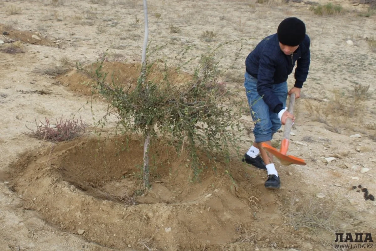 Фото Сергея Кораблева из архива «Лады»