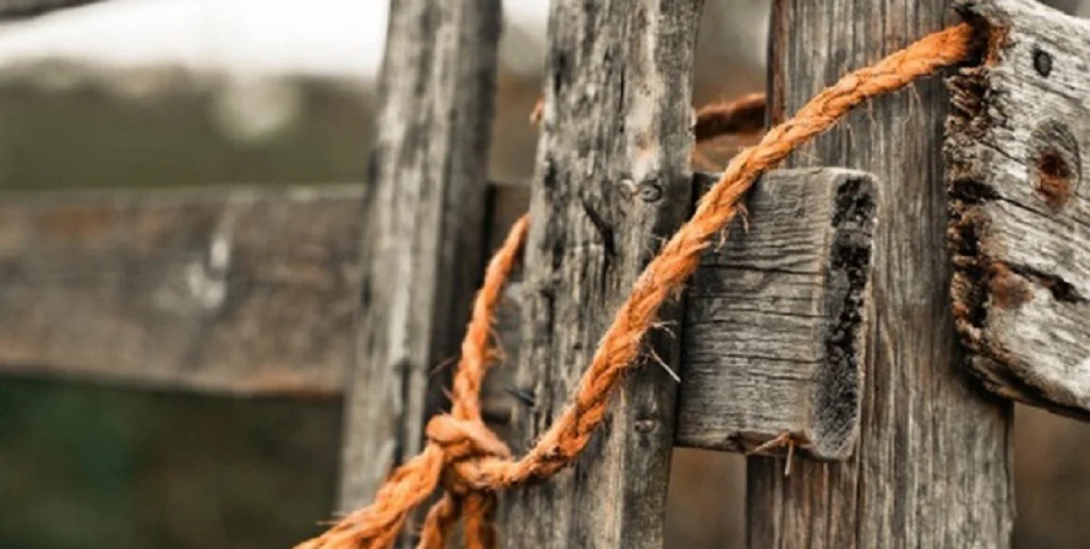 Фото m.progorodnn.ru