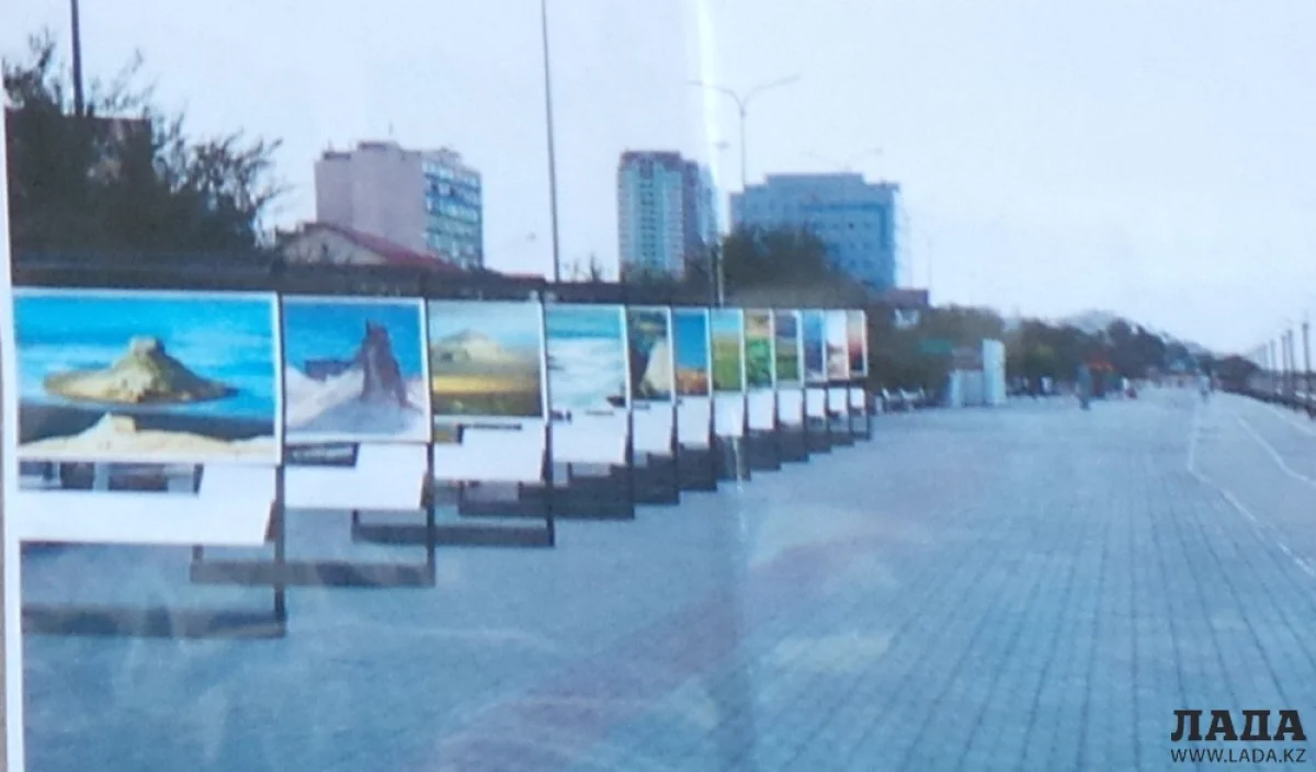 Проект галереи