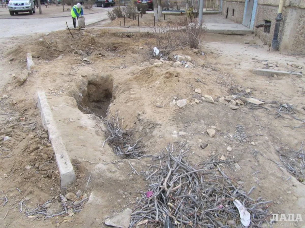 Уничтожение деревьев у дома №7 13 микрорайона||news_pic_more|<!--TBegin--><a href="https://img.lada.kz/2015-11/1448454532_img_5112.jpg" onclick="return hs.expand(this)" ><img src="https://img.lada.kz/2015-11/thumbs/1448454532_img_5112.jpg" alt='Жители 13 микрорайона возмущены уничтожением деревьев' title='Жители 13 микрорайона возмущены уничтожением деревьев'  /></a><!--TEnd--><br /><!--TBegin--><a href="https://img.lada.kz/2015-11/1448454569_img_5115.jpg" onclick="return hs.expand(this)" ><img src="https://img.lada.kz/2015-11/thumbs/1448454569_img_5115.jpg" alt='Жители 13 микрорайона возмущены уничтожением деревьев' title='Жители 13 микрорайона возмущены уничтожением деревьев'  /></a><!--TEnd--><br /><!--TBegin--><a href="https://img.lada.kz/2015-11/1448454524_img_5116.jpg" onclick="return hs.expand(this)" ><img src="https://img.lada.kz/2015-11/thumbs/1448454524_img_5116.jpg" alt='Жители 13 микрорайона возмущены уничтожением деревьев' title='Жители 13 микрорайона возмущены уничтожением деревьев'  /></a><!--TEnd--><br /><!--TBegin--><a href="https://img.lada.kz/2015-11/1448454598_img_5117.jpg" onclick="return hs.expand(this)" ><img src="https://img.lada.kz/2015-11/thumbs/1448454598_img_5117.jpg" alt='Жители 13 микрорайона возмущены уничтожением деревьев' title='Жители 13 микрорайона возмущены уничтожением деревьев'  /></a><!--TEnd--><br /><!--TBegin--><a href="https://img.lada.kz/2015-11/1448454585_img_5118.jpg" onclick="return hs.expand(this)" ><img src="https://img.lada.kz/2015-11/thumbs/1448454585_img_5118.jpg" alt='Жители 13 микрорайона возмущены уничтожением деревьев' title='Жители 13 микрорайона возмущены уничтожением деревьев'  /></a><!--TEnd--><br /><!--TBegin--><a href="https://img.lada.kz/2015-11/1448454579_img_5120.jpg" onclick="return hs.expand(this)" ><img src="https://img.lada.kz/2015-11/thumbs/1448454579_img_5120.jpg" alt='Жители 13 микрорайона возмущены уничтожением деревьев' title='Жители 13 микрорайона возмущены уничтожением деревьев'  /></a><!--TEnd--><br /><!--TBegin--><a href="https://img.lada.kz/2015-11/1448454519_img_5121.jpg" onclick="return hs.expand(this)" ><img src="https://img.lada.kz/2015-11/thumbs/1448454519_img_5121.jpg" alt='Жители 13 микрорайона возмущены уничтожением деревьев' title='Жители 13 микрорайона возмущены уничтожением деревьев'  /></a><!--TEnd--><br /><!--TBegin--><a href="https://img.lada.kz/2015-11/1448454567_img_5127.jpg" onclick="return hs.expand(this)" ><img src="https://img.lada.kz/2015-11/thumbs/1448454567_img_5127.jpg" alt='Жители 13 микрорайона возмущены уничтожением деревьев' title='Жители 13 микрорайона возмущены уничтожением деревьев'  /></a><!--TEnd-->