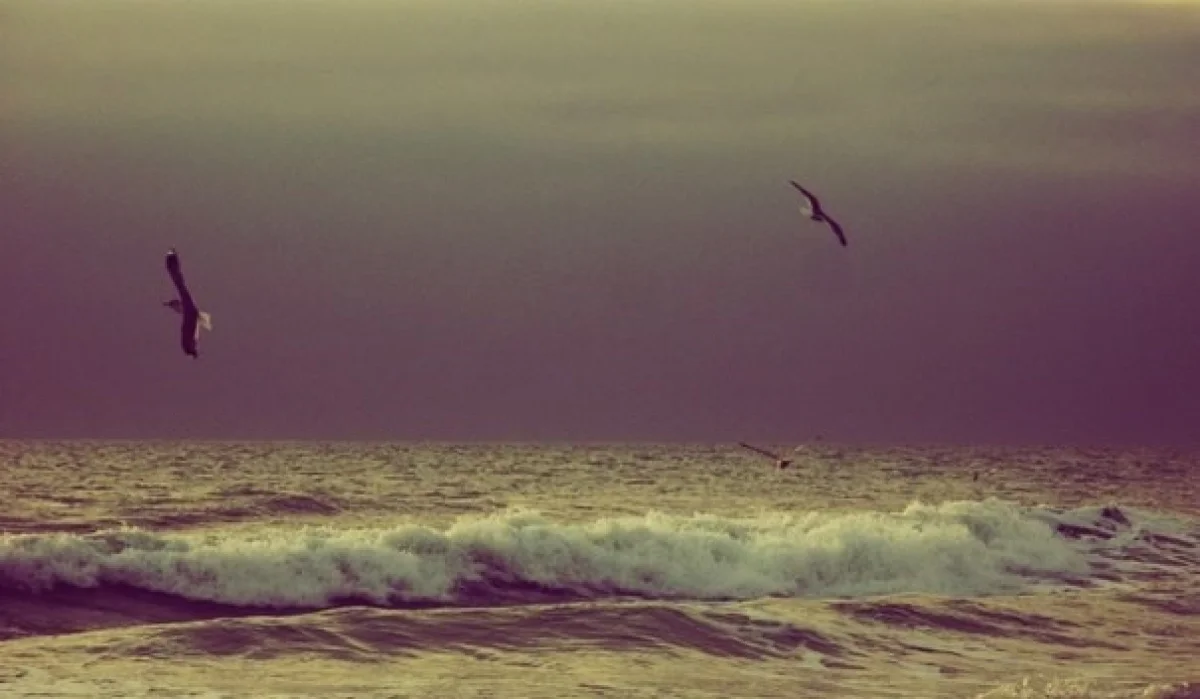 Фото из архива «Лады»