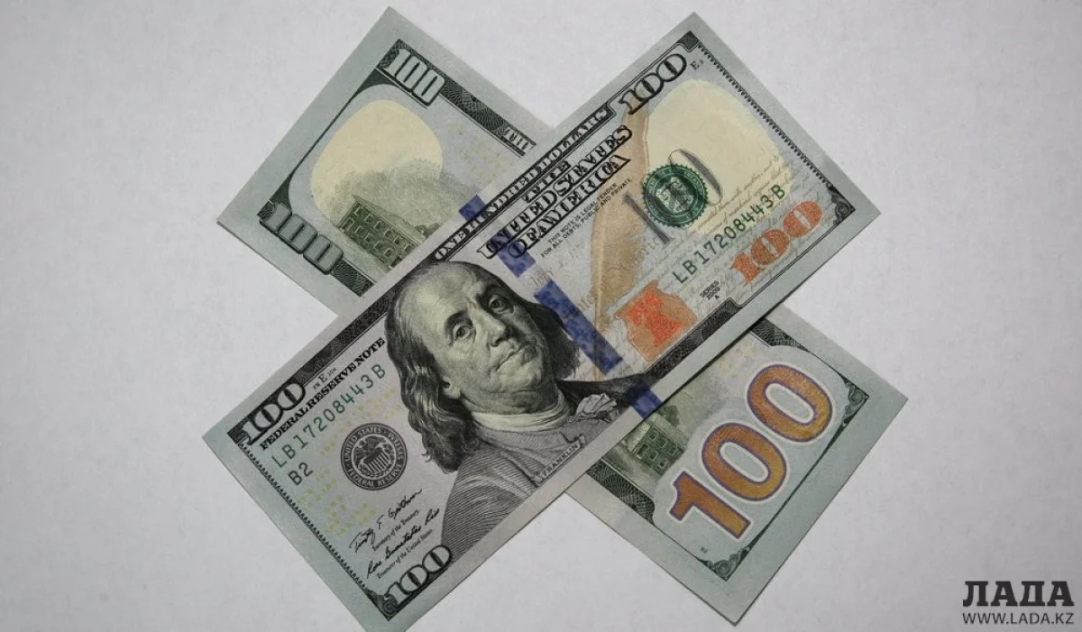 Фото Ольги Ярославской