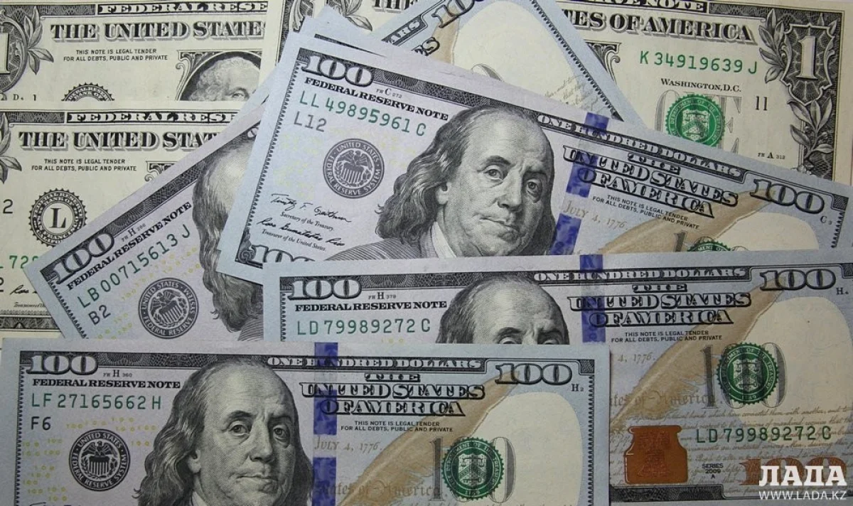 Фото Ольги Ярославской