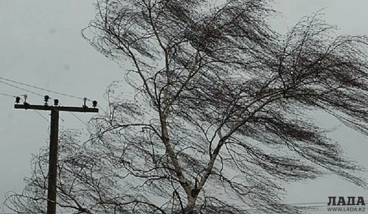 Усиление ветра в Мангистау