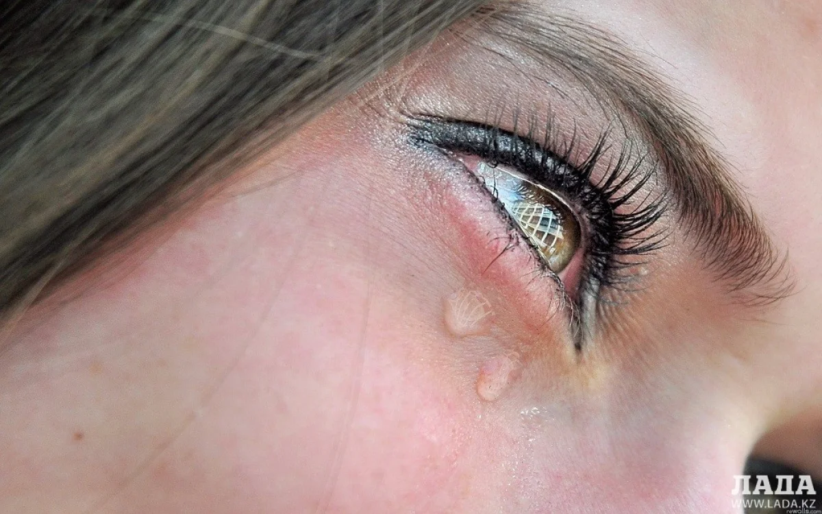 Фото kvedomosti.com