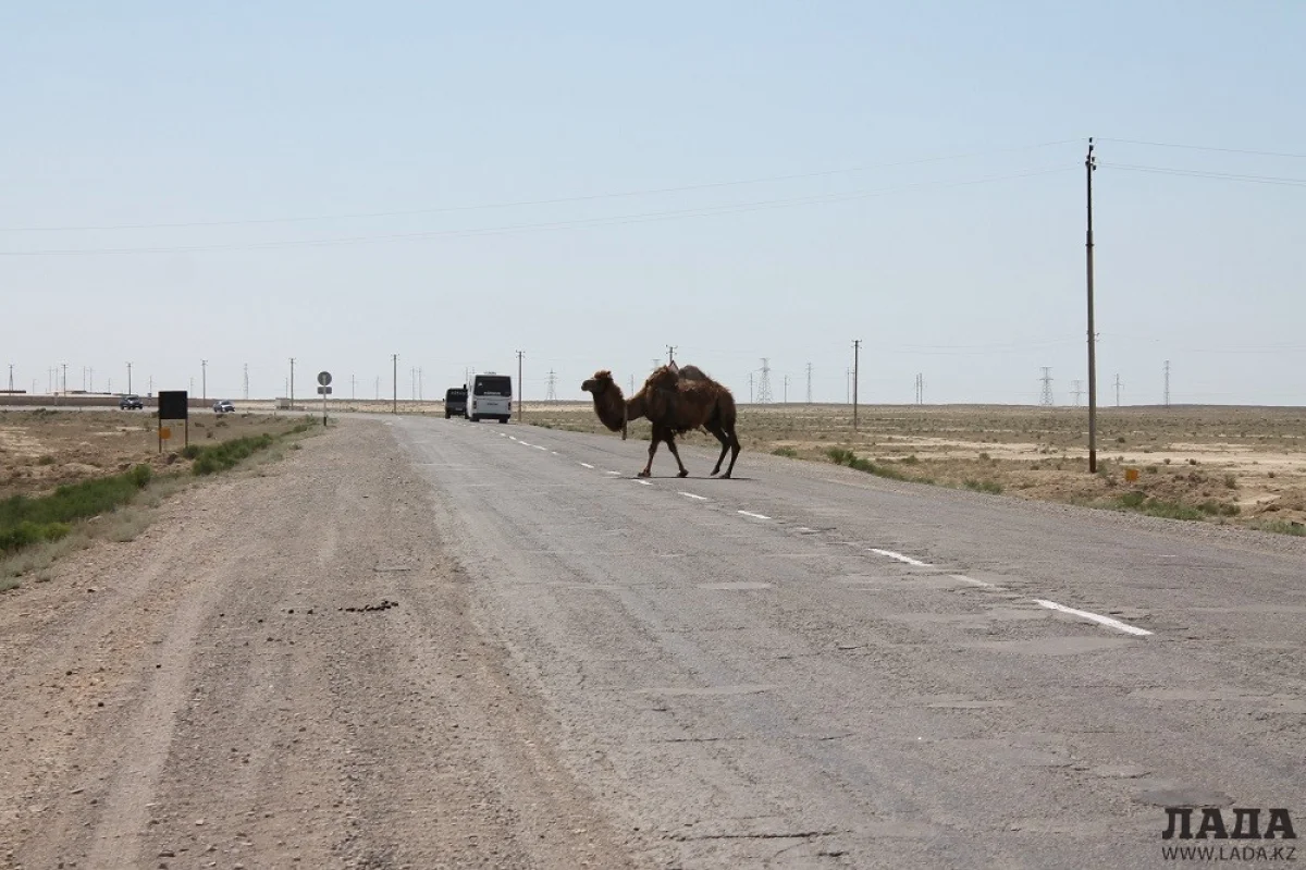 Фото из архива &quot;Лады&quot;