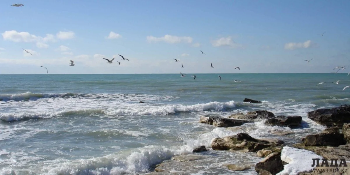 Фото с сайта www.on.kz