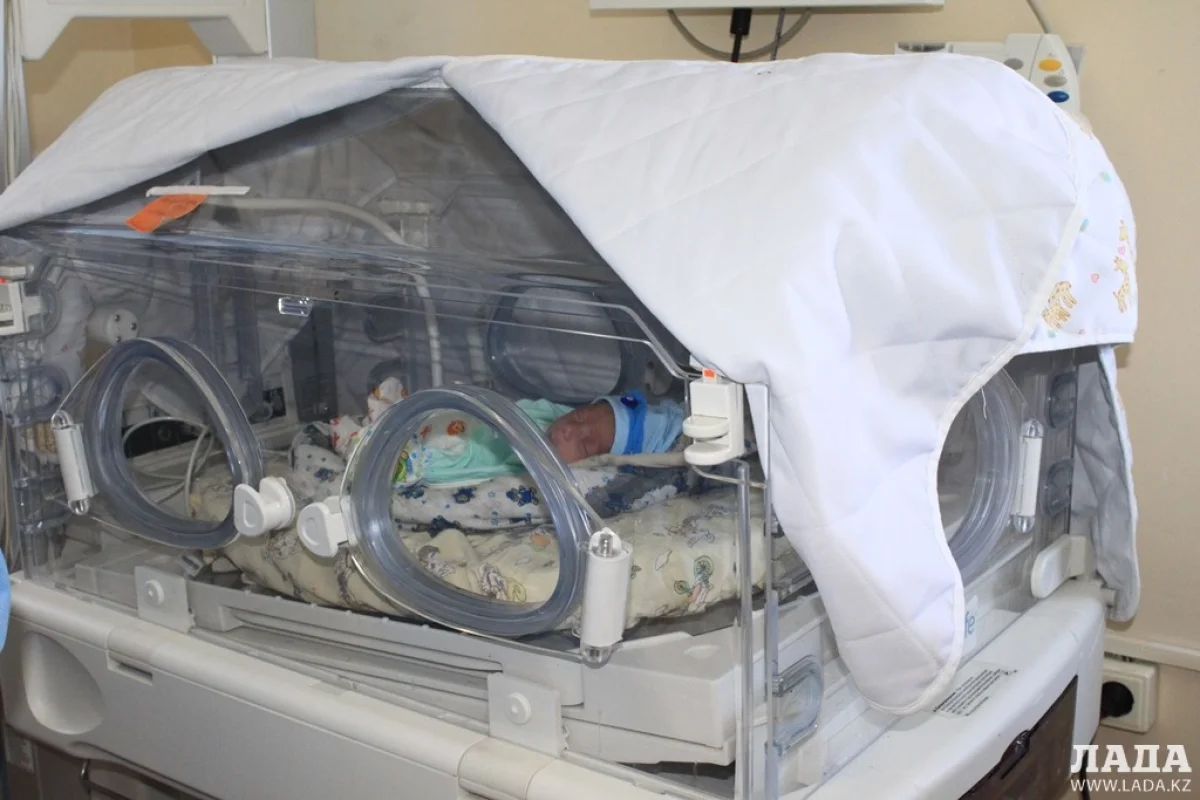 __фото автора