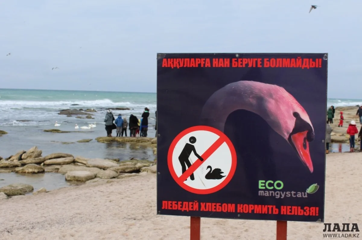 Фото предоставлено центром «Колдау-Экология»