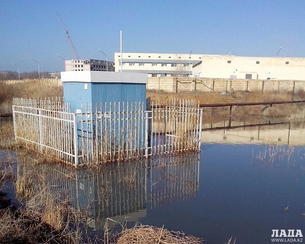 Фото пользователя lada.kz