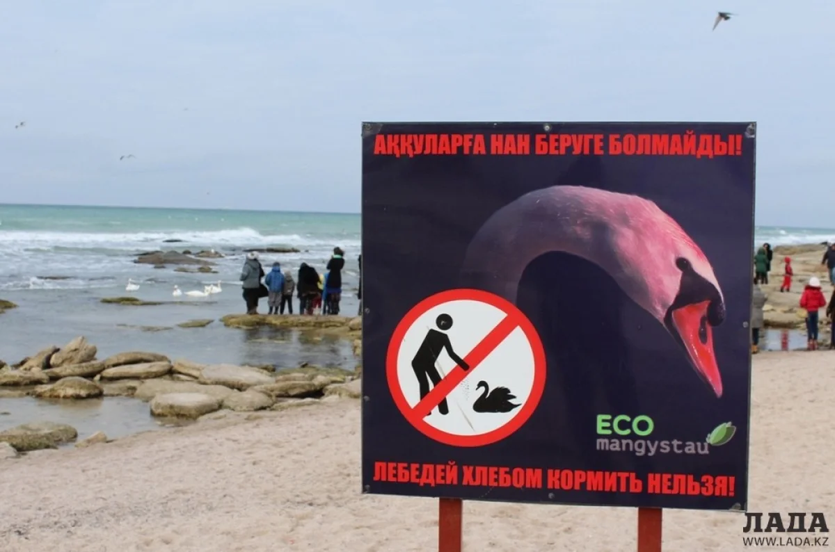 Фото предоставлено сотрудниками ЧУ «Колдау-Казахстан»