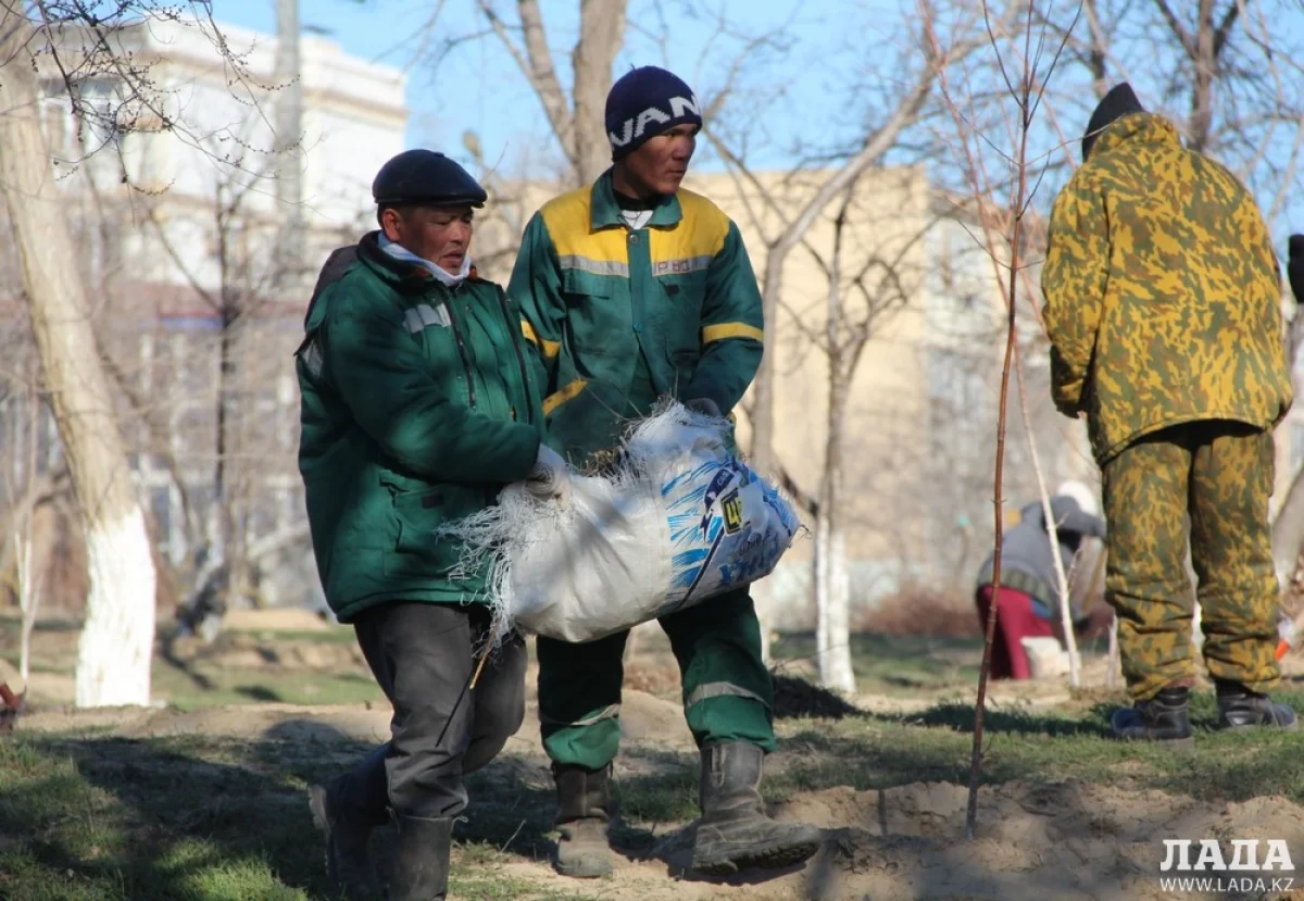 Работники ТОО «Кала Жолдары». Фото автора||news_pic_more|<!--TBegin--><a href="https://img.lada.kz/2016-02/1455186288_img_1363.jpg" onclick="return hs.expand(this)" ><img align="left" src="https://img.lada.kz/2016-02/thumbs/1455186288_img_1363.jpg" alt='Уркен Бисакаев: В парке «Акбота» ведутся работы по очистке территории' title='Уркен Бисакаев: В парке «Акбота» ведутся работы по очистке территории'  /></a><!--TEnd--><br /><!--TBegin--><a href="https://img.lada.kz/2016-02/1455186346_img_1365.jpg" onclick="return hs.expand(this)" ><img align="left" src="https://img.lada.kz/2016-02/thumbs/1455186346_img_1365.jpg" alt='Уркен Бисакаев: В парке «Акбота» ведутся работы по очистке территории' title='Уркен Бисакаев: В парке «Акбота» ведутся работы по очистке территории'  /></a><!--TEnd--><br /><!--TBegin--><a href="https://img.lada.kz/2016-02/1455186288_img_1368.jpg" onclick="return hs.expand(this)" ><img align="left" src="https://img.lada.kz/2016-02/thumbs/1455186288_img_1368.jpg" alt='Уркен Бисакаев: В парке «Акбота» ведутся работы по очистке территории' title='Уркен Бисакаев: В парке «Акбота» ведутся работы по очистке территории'  /></a><!--TEnd--><br /><!--TBegin--><a href="https://img.lada.kz/2016-02/1455186332_img_1370.jpg" onclick="return hs.expand(this)" ><img align="left" src="https://img.lada.kz/2016-02/thumbs/1455186332_img_1370.jpg" alt='Уркен Бисакаев: В парке «Акбота» ведутся работы по очистке территории' title='Уркен Бисакаев: В парке «Акбота» ведутся работы по очистке территории'  /></a><!--TEnd--><br /><!--TBegin--><a href="https://img.lada.kz/2016-02/1455186378_img_1373.jpg" onclick="return hs.expand(this)" ><img align="left" src="https://img.lada.kz/2016-02/thumbs/1455186378_img_1373.jpg" alt='Уркен Бисакаев: В парке «Акбота» ведутся работы по очистке территории' title='Уркен Бисакаев: В парке «Акбота» ведутся работы по очистке территории'  /></a><!--TEnd--><br /><!--TBegin--><a href="https://img.lada.kz/2016-02/1455186295_img_1375.jpg" onclick="return hs.expand(this)" ><img align="left" src="https://img.lada.kz/2016-02/thumbs/1455186295_img_1375.jpg" alt='Уркен Бисакаев: В парке «Акбота» ведутся работы по очистке территории' title='Уркен Бисакаев: В парке «Акбота» ведутся работы по очистке территории'  /></a><!--TEnd--><br /><!--TBegin--><a href="https://img.lada.kz/2016-02/1455186294_img_1382.jpg" onclick="return hs.expand(this)" ><img align="left" src="https://img.lada.kz/2016-02/thumbs/1455186294_img_1382.jpg" alt='Уркен Бисакаев: В парке «Акбота» ведутся работы по очистке территории' title='Уркен Бисакаев: В парке «Акбота» ведутся работы по очистке территории'  /></a><!--TEnd--><br /><!--TBegin--><a href="https://img.lada.kz/2016-02/1455186296_img_1385.jpg" onclick="return hs.expand(this)" ><img align="left" src="https://img.lada.kz/2016-02/thumbs/1455186296_img_1385.jpg" alt='Уркен Бисакаев: В парке «Акбота» ведутся работы по очистке территории' title='Уркен Бисакаев: В парке «Акбота» ведутся работы по очистке территории'  /></a><!--TEnd--><br /><!--TBegin--><a href="https://img.lada.kz/2016-02/1455186324_img_1386.jpg" onclick="return hs.expand(this)" ><img align="left" src="https://img.lada.kz/2016-02/thumbs/1455186324_img_1386.jpg" alt='Уркен Бисакаев: В парке «Акбота» ведутся работы по очистке территории' title='Уркен Бисакаев: В парке «Акбота» ведутся работы по очистке территории'  /></a><!--TEnd--><br /><!--TBegin--><a href="https://img.lada.kz/2016-02/1455186343_img_1387.jpg" onclick="return hs.expand(this)" ><img align="left" src="https://img.lada.kz/2016-02/thumbs/1455186343_img_1387.jpg" alt='Уркен Бисакаев: В парке «Акбота» ведутся работы по очистке территории' title='Уркен Бисакаев: В парке «Акбота» ведутся работы по очистке территории'  /></a><!--TEnd--><br /><!--TBegin--><a href="https://img.lada.kz/2016-02/1455186341_img_1388.jpg" onclick="return hs.expand(this)" ><img align="left" src="https://img.lada.kz/2016-02/thumbs/1455186341_img_1388.jpg" alt='Уркен Бисакаев: В парке «Акбота» ведутся работы по очистке территории' title='Уркен Бисакаев: В парке «Акбота» ведутся работы по очистке территории'  /></a><!--TEnd-->