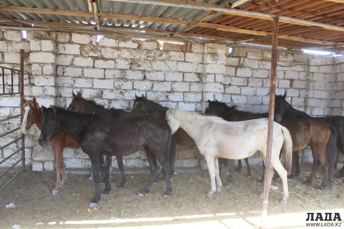 Фото из архива &quot;Лады&quot;