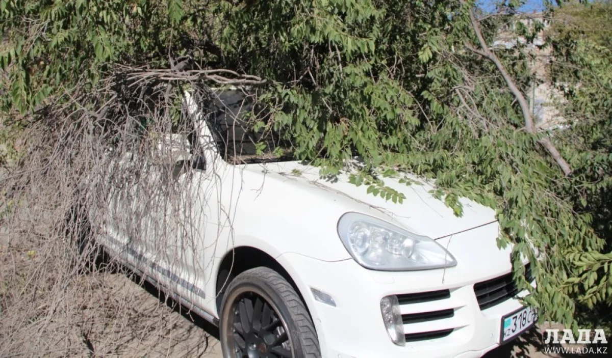 Фото из архива «Лады»