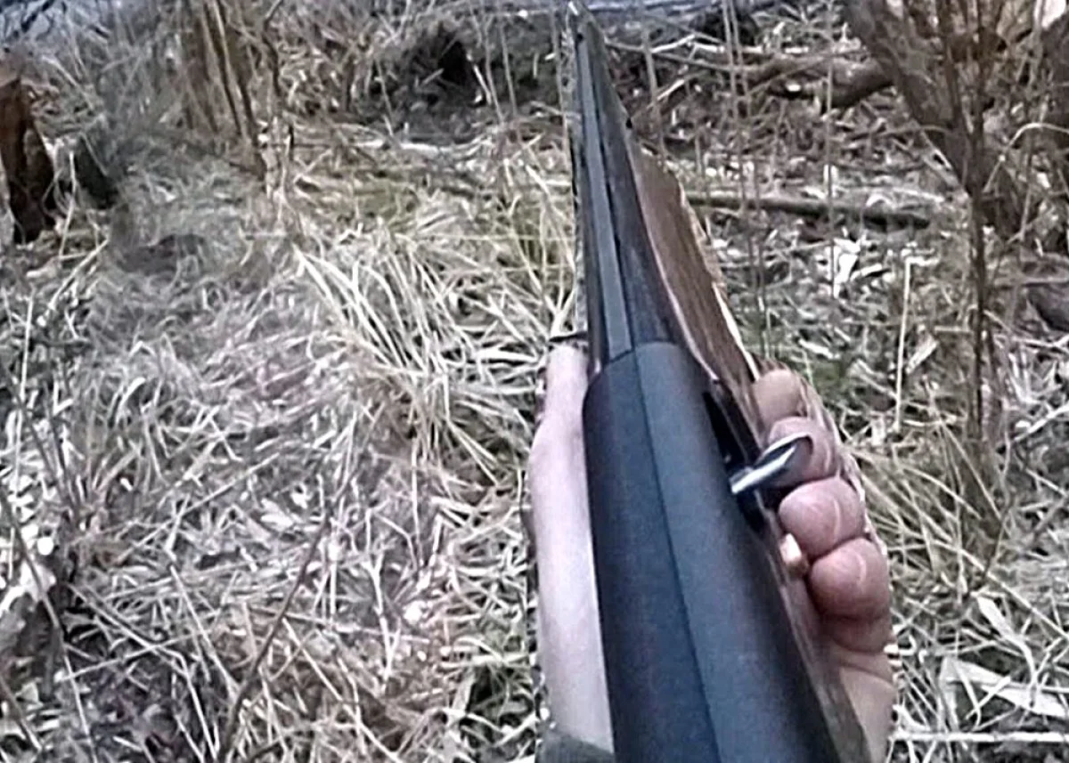 Фото с сайта www.youtube.com