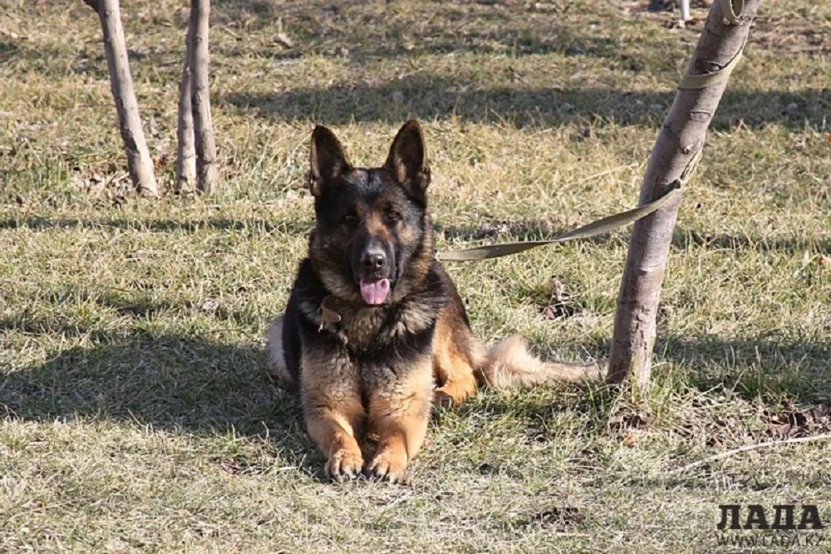 Фото Ольги Ярославской