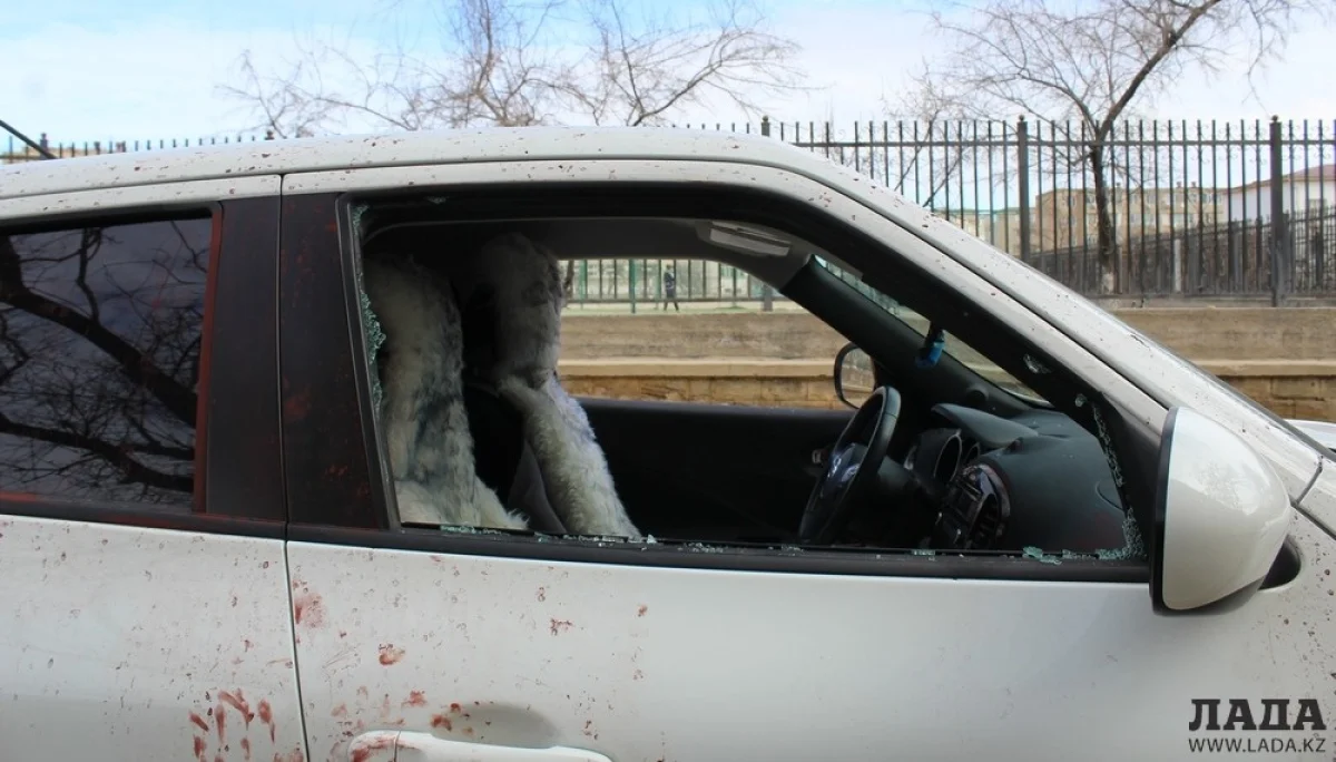 Пострадавшее авто. Краска, нанесенная для обнаружения отпечатков.||news_pic_more|<!--TBegin--><a href="https://img.lada.kz/2016-03/1458628512_img_9363.jpg" onclick="return hs.expand(this)" ><img src="https://img.lada.kz/2016-03/thumbs/1458628512_img_9363.jpg" alt='Разбивший оба передних боковых стекла автомобиля в центре Актау ничего не похитил из машины' title='Разбивший оба передних боковых стекла автомобиля в центре Актау ничего не похитил из машины'  /></a><!--TEnd--><br /><!--TBegin--><a href="https://img.lada.kz/2016-03/1458628540_img_9364.jpg" onclick="return hs.expand(this)" ><img src="https://img.lada.kz/2016-03/thumbs/1458628540_img_9364.jpg" alt='Разбивший оба передних боковых стекла автомобиля в центре Актау ничего не похитил из машины' title='Разбивший оба передних боковых стекла автомобиля в центре Актау ничего не похитил из машины'  /></a><!--TEnd--><br /><!--TBegin--><a href="https://img.lada.kz/2016-03/1458628579_img_9366.jpg" onclick="return hs.expand(this)" ><img src="https://img.lada.kz/2016-03/thumbs/1458628579_img_9366.jpg" alt='Разбивший оба передних боковых стекла автомобиля в центре Актау ничего не похитил из машины' title='Разбивший оба передних боковых стекла автомобиля в центре Актау ничего не похитил из машины'  /></a><!--TEnd--><br /><!--TBegin--><a href="https://img.lada.kz/2016-03/1458628525_img_9368.jpg" onclick="return hs.expand(this)" ><img src="https://img.lada.kz/2016-03/thumbs/1458628525_img_9368.jpg" alt='Разбивший оба передних боковых стекла автомобиля в центре Актау ничего не похитил из машины' title='Разбивший оба передних боковых стекла автомобиля в центре Актау ничего не похитил из машины'  /></a><!--TEnd--><br /><!--TBegin--><a href="https://img.lada.kz/2016-03/1458628589_img_9370.jpg" onclick="return hs.expand(this)" ><img src="https://img.lada.kz/2016-03/thumbs/1458628589_img_9370.jpg" alt='Разбивший оба передних боковых стекла автомобиля в центре Актау ничего не похитил из машины' title='Разбивший оба передних боковых стекла автомобиля в центре Актау ничего не похитил из машины'  /></a><!--TEnd--><br /><!--TBegin--><a href="https://img.lada.kz/2016-03/1458628525_img_9371.jpg" onclick="return hs.expand(this)" ><img src="https://img.lada.kz/2016-03/thumbs/1458628525_img_9371.jpg" alt='Разбивший оба передних боковых стекла автомобиля в центре Актау ничего не похитил из машины' title='Разбивший оба передних боковых стекла автомобиля в центре Актау ничего не похитил из машины'  /></a><!--TEnd--><br /><!--TBegin--><a href="https://img.lada.kz/2016-03/1458629479_img_9378.jpg" onclick="return hs.expand(this)" ><img src="https://img.lada.kz/2016-03/thumbs/1458629479_img_9378.jpg" alt='Разбивший оба передних боковых стекла автомобиля в центре Актау ничего не похитил из машины' title='Разбивший оба передних боковых стекла автомобиля в центре Актау ничего не похитил из машины'  /></a><!--TEnd--><br /><!--TBegin--><a href="https://img.lada.kz/2016-03/1458628587_img_9383.jpg" onclick="return hs.expand(this)" ><img src="https://img.lada.kz/2016-03/thumbs/1458628587_img_9383.jpg" alt='Разбивший оба передних боковых стекла автомобиля в центре Актау ничего не похитил из машины' title='Разбивший оба передних боковых стекла автомобиля в центре Актау ничего не похитил из машины'  /></a><!--TEnd--><br /><!--TBegin--><a href="https://img.lada.kz/2016-03/1458628530_img_9390.jpg" onclick="return hs.expand(this)" ><img src="https://img.lada.kz/2016-03/thumbs/1458628530_img_9390.jpg" alt='Разбивший оба передних боковых стекла автомобиля в центре Актау ничего не похитил из машины' title='Разбивший оба передних боковых стекла автомобиля в центре Актау ничего не похитил из машины'  /></a><!--TEnd--><br /><!--TBegin--><a href="https://img.lada.kz/2016-03/1458628591_img_9391.jpg" onclick="return hs.expand(this)" ><img src="https://img.lada.kz/2016-03/thumbs/1458628591_img_9391.jpg" alt='Разбивший оба передних боковых стекла автомобиля в центре Актау ничего не похитил из машины' title='Разбивший оба передних боковых стекла автомобиля в центре Актау ничего не похитил из машины'  /></a><!--TEnd-->