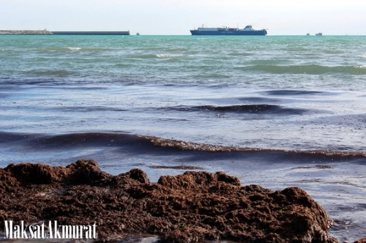 Фото пользователя lada.kz