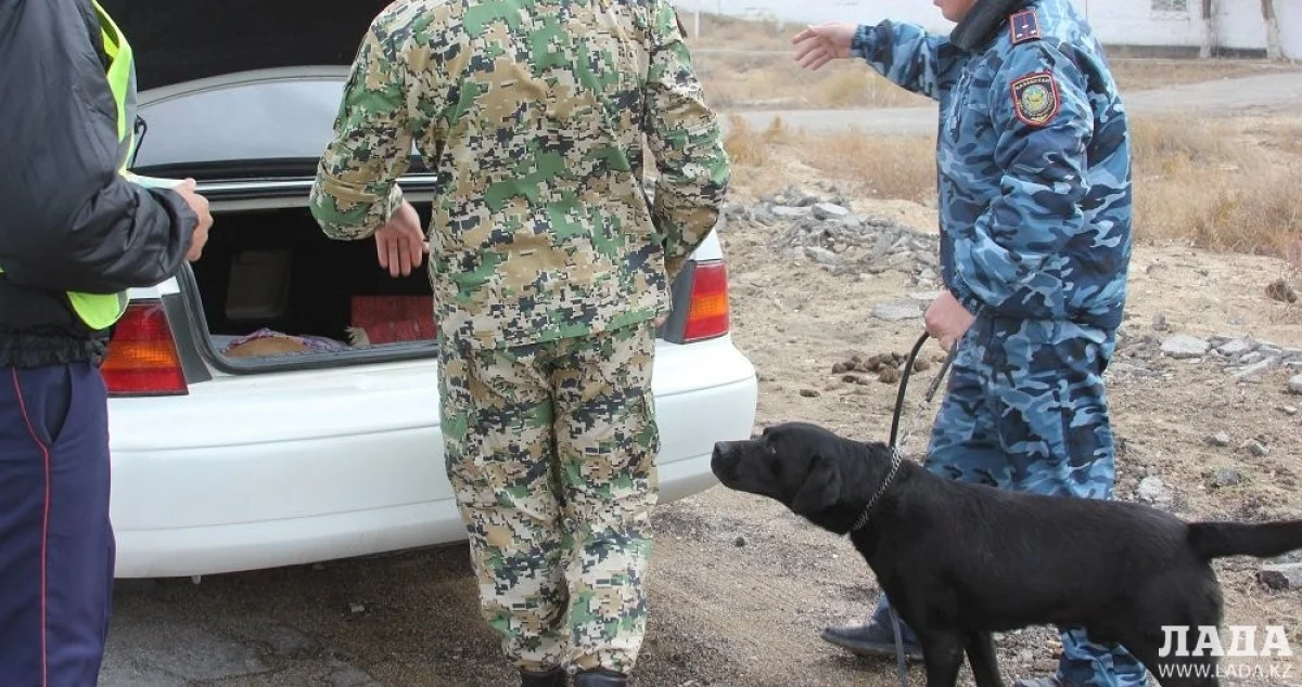 Фото из архива «Лады»