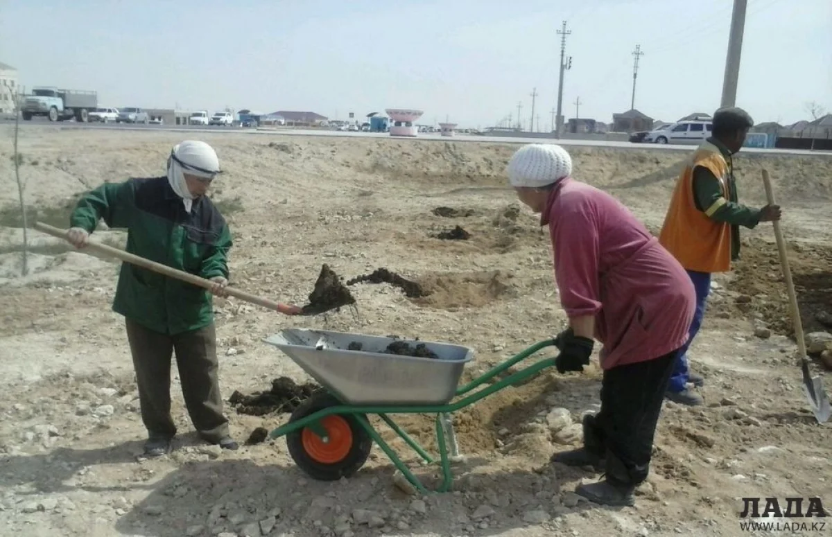 Ведутся работы по озеленению города. Фото ТОО «Кала жолдары»||news_pic_more|<!--TBegin--><a href="https://img.lada.kz/2016-04/1460119689_img_0234.jpg" onclick="return hs.expand(this)" ><img src="https://img.lada.kz/2016-04/thumbs/1460119689_img_0234.jpg" alt='Тлек Кушмаганбетов: На озеленение Актау выделено 487 миллионов тенге' title='Тлек Кушмаганбетов: На озеленение Актау выделено 487 миллионов тенге'  /></a><!--TEnd--><br /><!--TBegin--><a href="https://img.lada.kz/2016-04/1460119644_img_0236.jpg" onclick="return hs.expand(this)" ><img src="https://img.lada.kz/2016-04/thumbs/1460119644_img_0236.jpg" alt='Тлек Кушмаганбетов: На озеленение Актау выделено 487 миллионов тенге' title='Тлек Кушмаганбетов: На озеленение Актау выделено 487 миллионов тенге'  /></a><!--TEnd--><br /><!--TBegin--><a href="https://img.lada.kz/2016-04/1460119629_img_0237.jpg" onclick="return hs.expand(this)" ><img src="https://img.lada.kz/2016-04/thumbs/1460119629_img_0237.jpg" alt='Тлек Кушмаганбетов: На озеленение Актау выделено 487 миллионов тенге' title='Тлек Кушмаганбетов: На озеленение Актау выделено 487 миллионов тенге'  /></a><!--TEnd--><br /><!--TBegin--><a href="https://img.lada.kz/2016-04/1460119632_img_0244.jpg" onclick="return hs.expand(this)" ><img src="https://img.lada.kz/2016-04/thumbs/1460119632_img_0244.jpg" alt='Тлек Кушмаганбетов: На озеленение Актау выделено 487 миллионов тенге' title='Тлек Кушмаганбетов: На озеленение Актау выделено 487 миллионов тенге'  /></a><!--TEnd--><br /><!--TBegin--><a href="https://img.lada.kz/2016-04/1460119691_img_0255.jpg" onclick="return hs.expand(this)" ><img src="https://img.lada.kz/2016-04/thumbs/1460119691_img_0255.jpg" alt='Тлек Кушмаганбетов: На озеленение Актау выделено 487 миллионов тенге' title='Тлек Кушмаганбетов: На озеленение Актау выделено 487 миллионов тенге'  /></a><!--TEnd--><br /><!--TBegin--><a href="https://img.lada.kz/2016-04/1460119648_img_0258.jpg" onclick="return hs.expand(this)" ><img src="https://img.lada.kz/2016-04/thumbs/1460119648_img_0258.jpg" alt='Тлек Кушмаганбетов: На озеленение Актау выделено 487 миллионов тенге' title='Тлек Кушмаганбетов: На озеленение Актау выделено 487 миллионов тенге'  /></a><!--TEnd-->