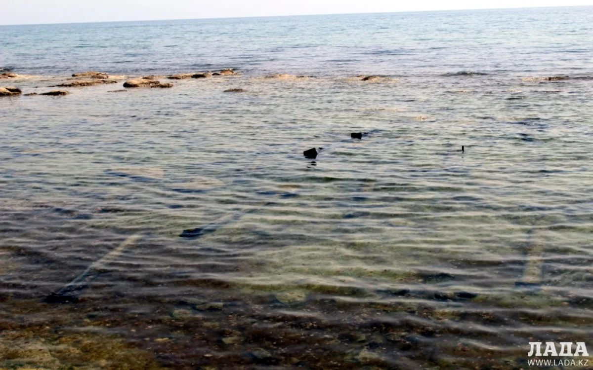 Фото автора из архива «Лады»||news_pic_more|<!--TBegin--><a href="https://img.lada.kz/2016-04/1460957777_6bo8vjf4ko4.jpg" onclick="return hs.expand(this)" ><img align="left" src="https://img.lada.kz/2016-04/thumbs/1460957777_6bo8vjf4ko4.jpg" alt='Кажимурат Хайрушев: Торчащие из воды основания труб опасны для жизни' title='Кажимурат Хайрушев: Торчащие из воды основания труб опасны для жизни'  /></a><!--TEnd--><br /><!--TBegin--><a href="https://img.lada.kz/2016-04/1460957818_iiisk3p0mxw.jpg" onclick="return hs.expand(this)" ><img align="left" src="https://img.lada.kz/2016-04/thumbs/1460957818_iiisk3p0mxw.jpg" alt='Кажимурат Хайрушев: Торчащие из воды основания труб опасны для жизни' title='Кажимурат Хайрушев: Торчащие из воды основания труб опасны для жизни'  /></a><!--TEnd--><br /><!--TBegin--><a href="https://img.lada.kz/2016-04/1460957877_img_2204.jpg" onclick="return hs.expand(this)" ><img align="left" src="https://img.lada.kz/2016-04/thumbs/1460957877_img_2204.jpg" alt='Кажимурат Хайрушев: Торчащие из воды основания труб опасны для жизни' title='Кажимурат Хайрушев: Торчащие из воды основания труб опасны для жизни'  /></a><!--TEnd-->