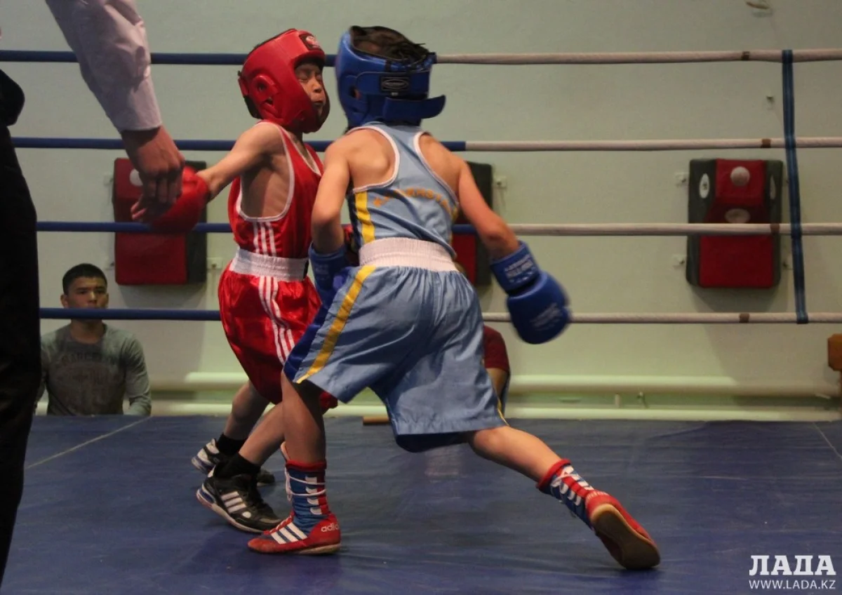 Финальный бой участников турнира. Фото автора