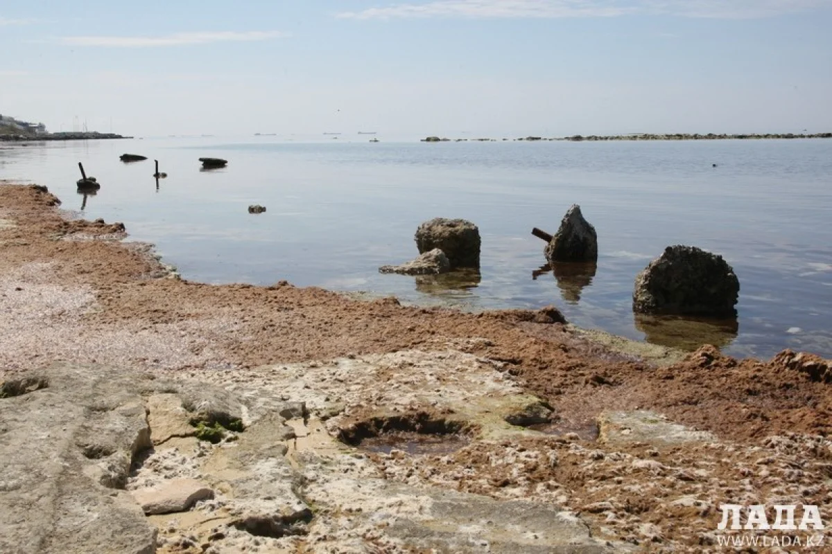 Набережная 7 микрорайона