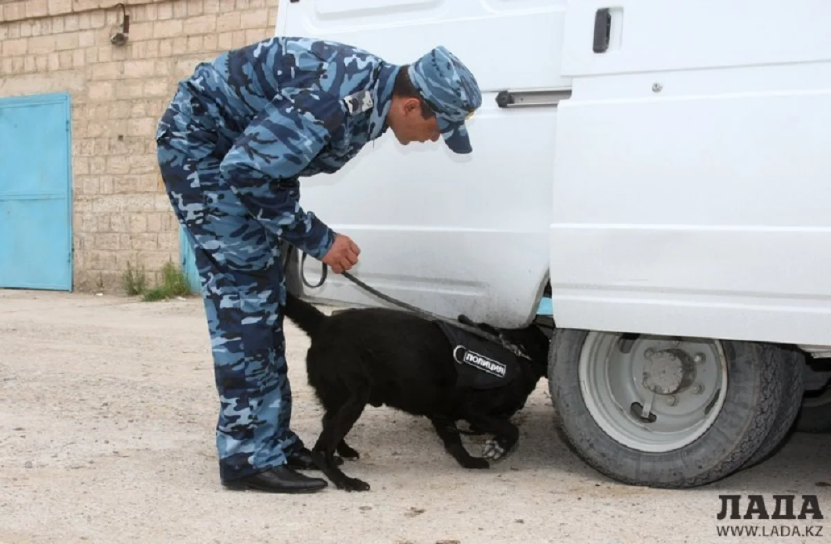 Фото из архива &quot;Лады&quot;