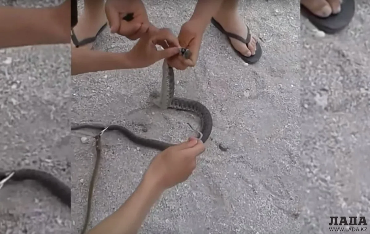 Кадр из видео