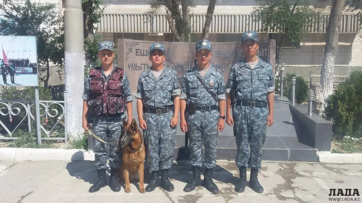 Патрульные и немецкая овчарка Дагир