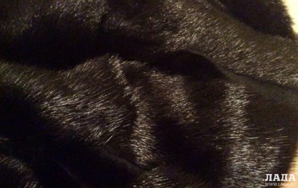 Фото из архива «Лады»