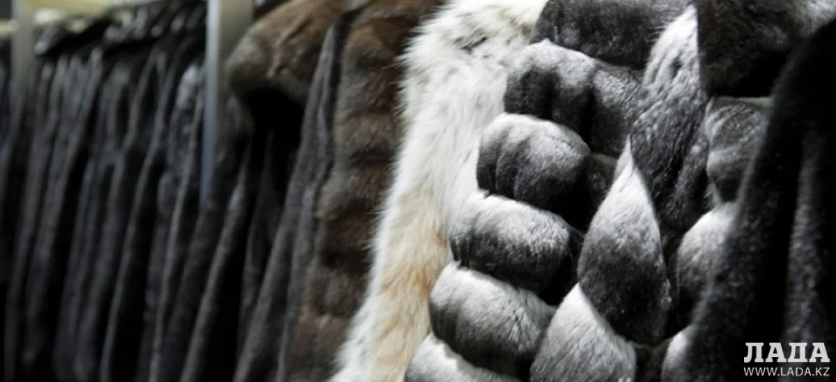 Фото arnapress.kz