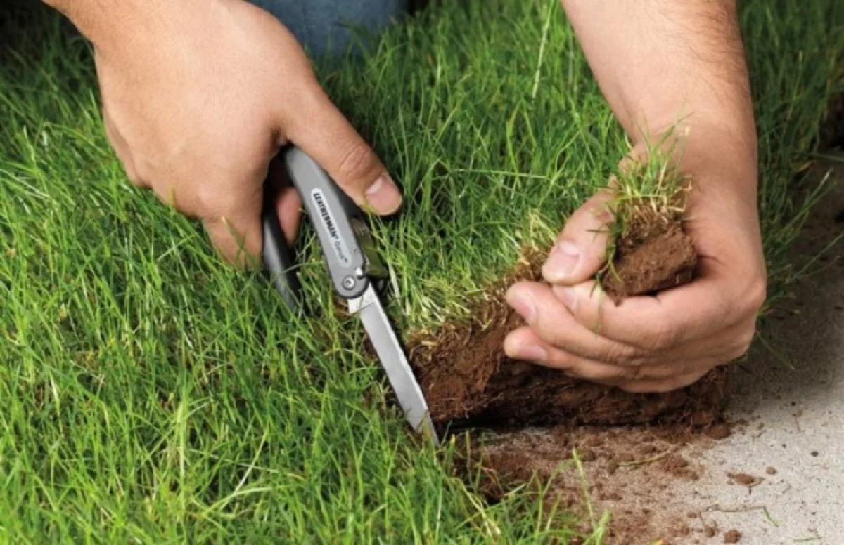 Фото bryansktoday.ru