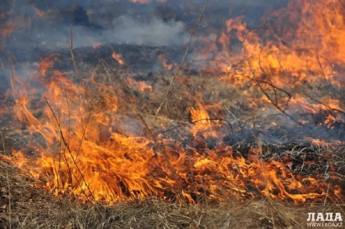 Фото из архива &quot;Лады&quot;