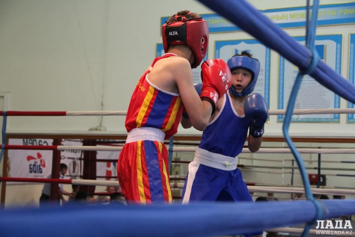 Финальный бой участников турнира. Фото автора