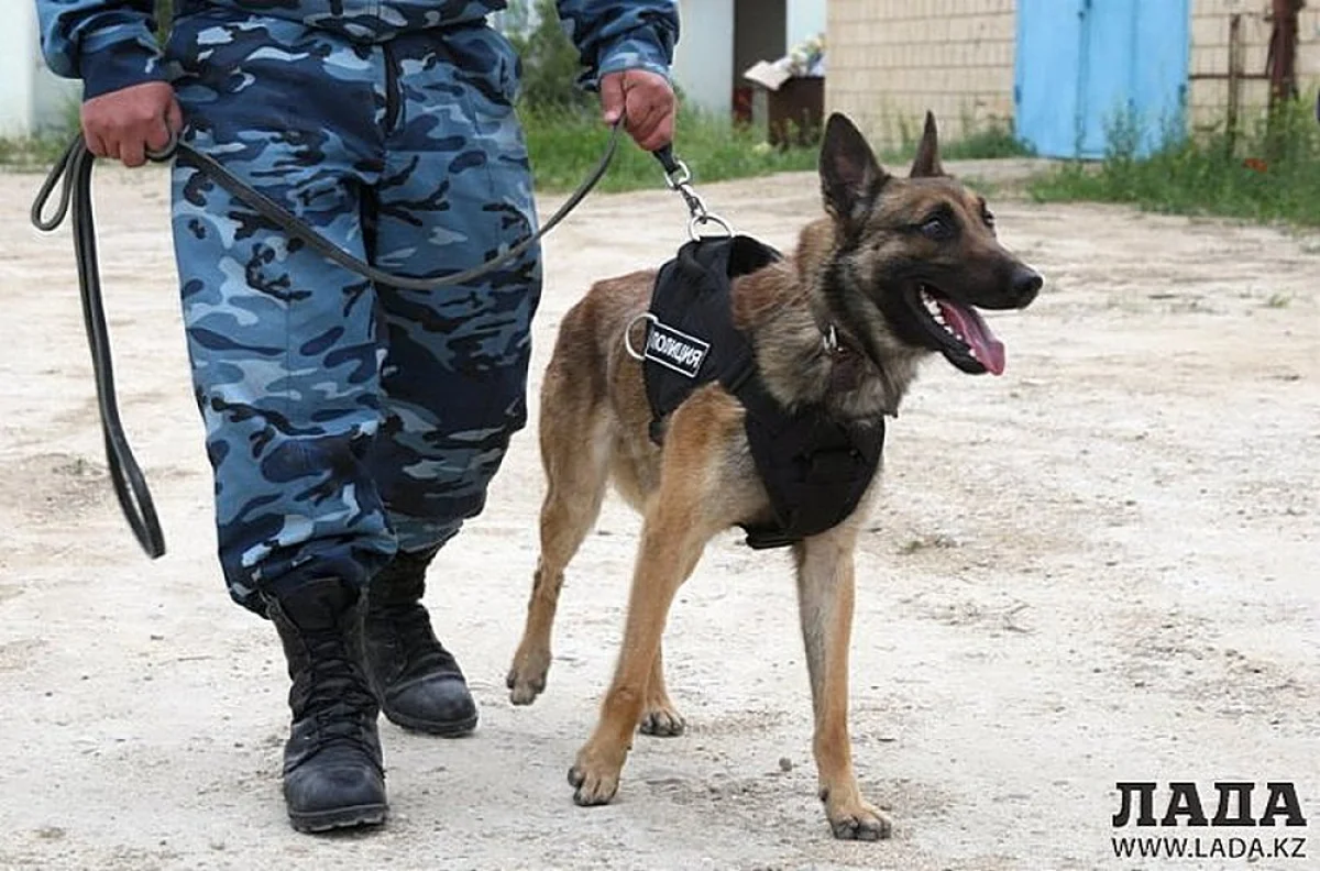 Фото из архива "Лады"