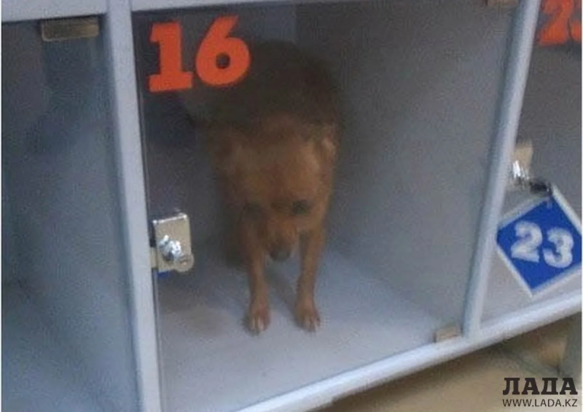 Фото Евгения в социальной сети