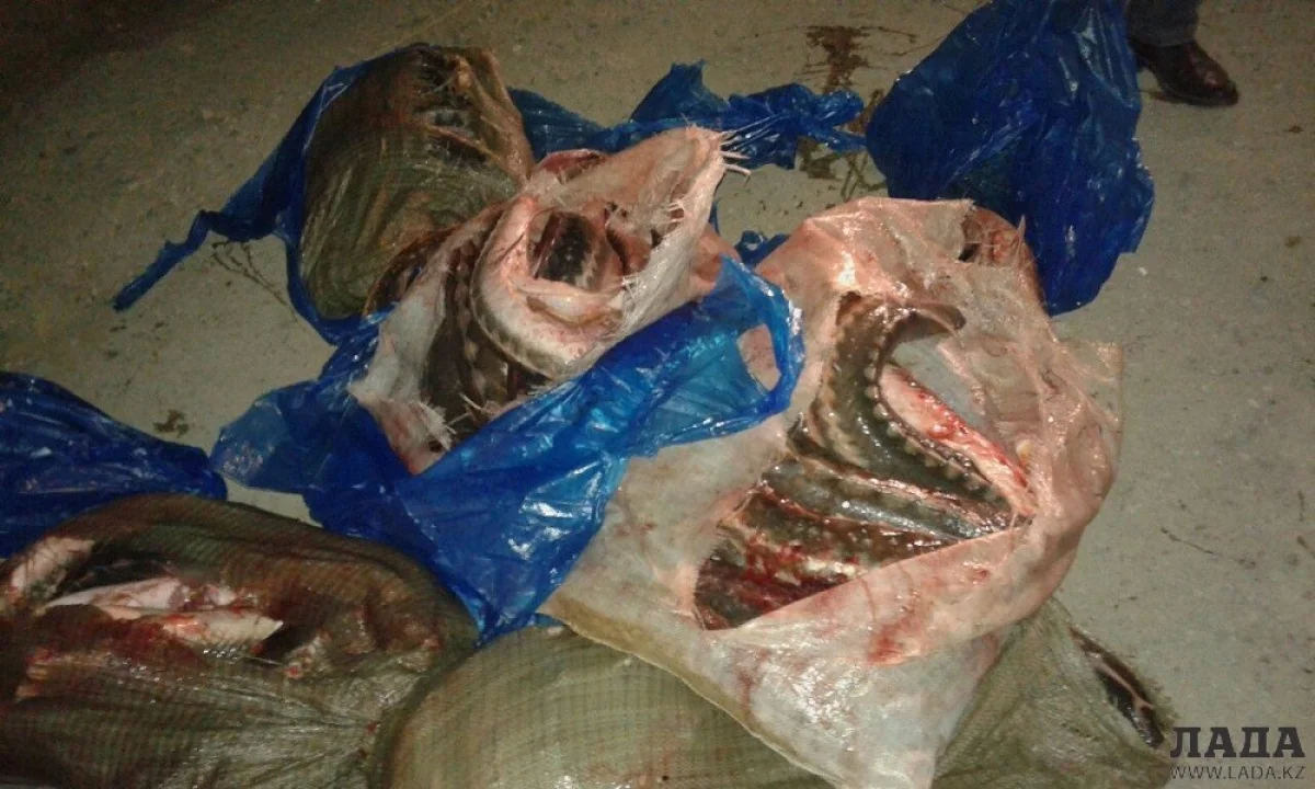 Фото из архива &quot;Лады&quot;