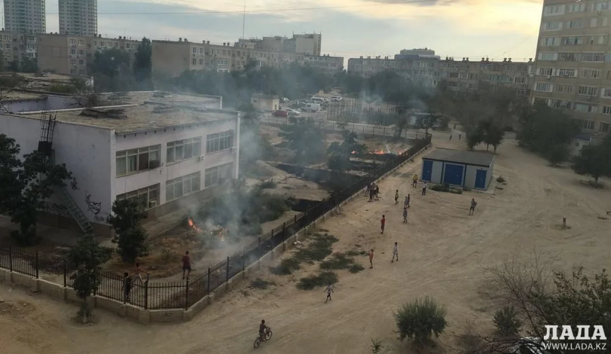 Место возгорания сухостоя. Фото очевидцев