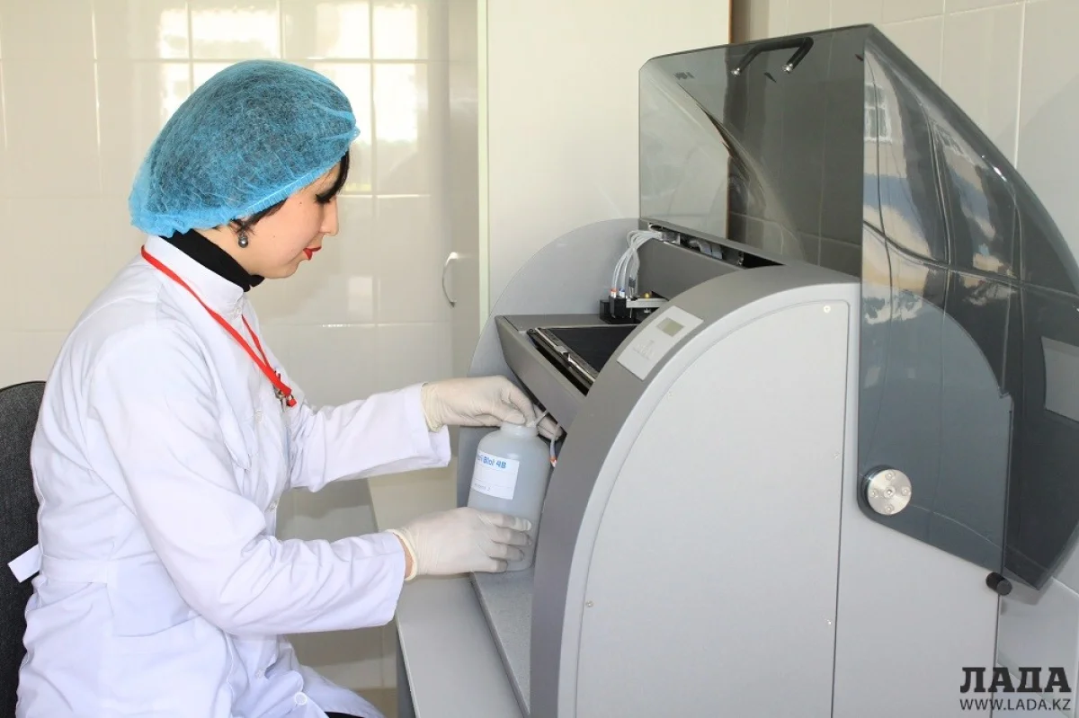 В лаборатории центра крови. Фото автора