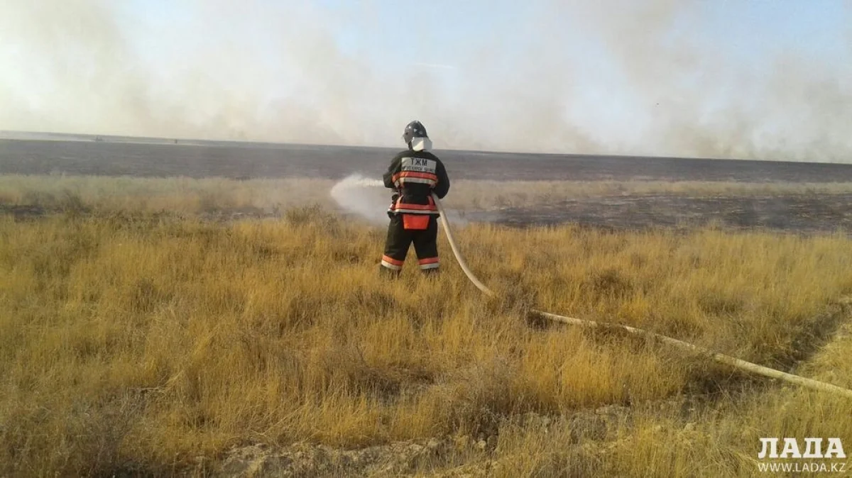 Фото предоставлено службой пожаротушения||news_pic_more|<!--TBegin--><a href="https://img.lada.kz/2016-08/1470891910_5bc50d28-40c2-406c-b523-08b4fa6840e0.jpg" onclick="return hs.expand(this)" ><img align="left" src="https://img.lada.kz/2016-08/thumbs/1470891910_5bc50d28-40c2-406c-b523-08b4fa6840e0.jpg" alt='Спасатели Мангистау ликвидировали степной пожар площадью 400 гектаров в Бейнеуском районе' title='Спасатели Мангистау ликвидировали степной пожар площадью 400 гектаров в Бейнеуском районе'  /></a><!--TEnd--><br /><!--TBegin--><a href="https://img.lada.kz/2016-08/1470891992_055fa556-cb3f-4f8f-b8b5-9770fc96d822.jpg" onclick="return hs.expand(this)" ><img align="left" src="https://img.lada.kz/2016-08/thumbs/1470891992_055fa556-cb3f-4f8f-b8b5-9770fc96d822.jpg" alt='Спасатели Мангистау ликвидировали степной пожар площадью 400 гектаров в Бейнеуском районе' title='Спасатели Мангистау ликвидировали степной пожар площадью 400 гектаров в Бейнеуском районе'  /></a><!--TEnd--><br /><!--TBegin--><a href="https://img.lada.kz/2016-08/1470891902_ec4de809-8f0a-45ff-9cf5-12ee8ab6cd1d.jpg" onclick="return hs.expand(this)" ><img align="left" src="https://img.lada.kz/2016-08/thumbs/1470891902_ec4de809-8f0a-45ff-9cf5-12ee8ab6cd1d.jpg" alt='Спасатели Мангистау ликвидировали степной пожар площадью 400 гектаров в Бейнеуском районе' title='Спасатели Мангистау ликвидировали степной пожар площадью 400 гектаров в Бейнеуском районе'  /></a><!--TEnd-->