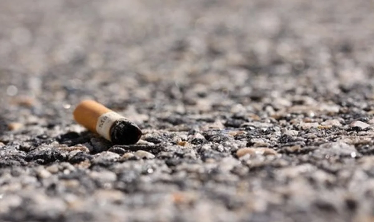 Фото с сайта napoli1.com