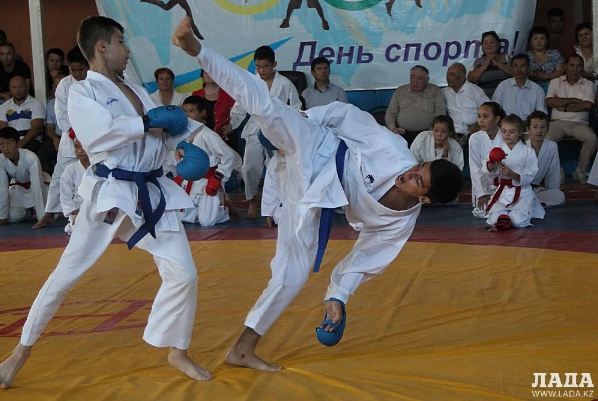 Выступление каратистов. Фото автора