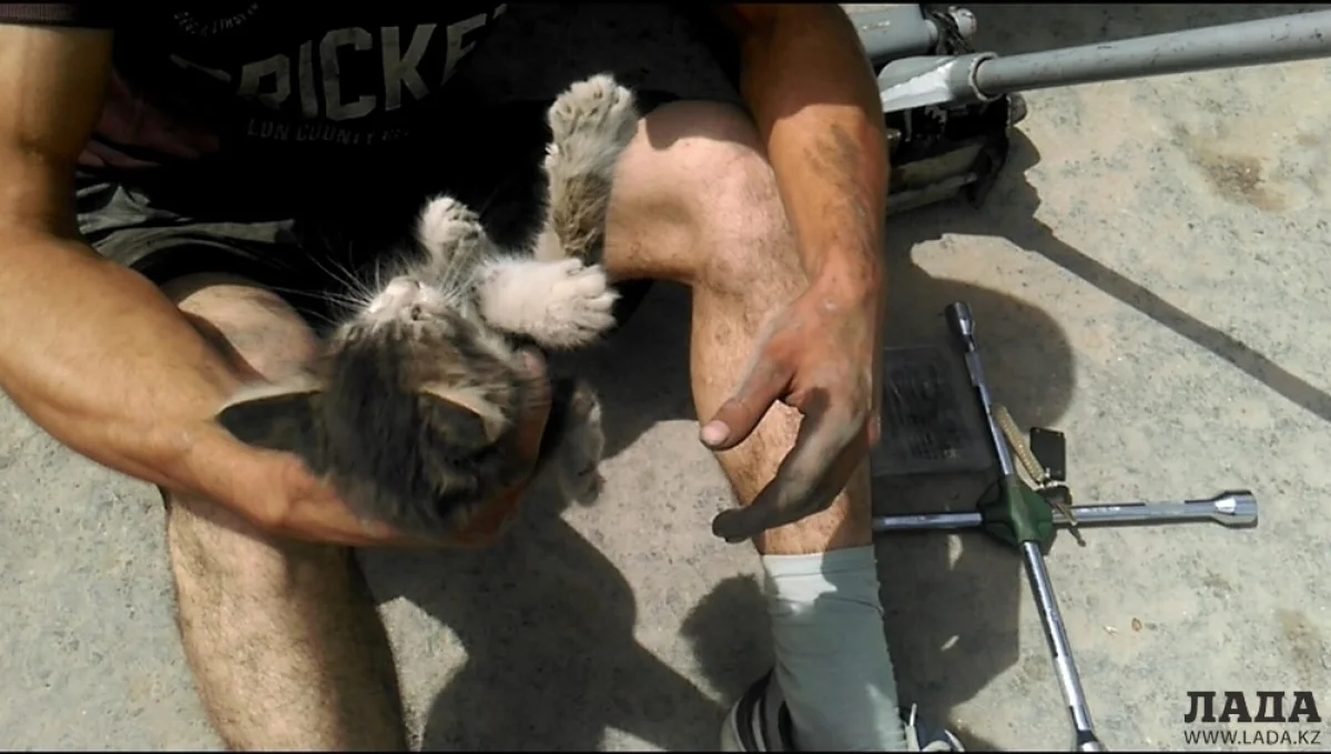 Фото Романа Заричанского||news_pic_more|<!--TBegin--><a href="https://img.lada.kz/2016-09/1474190446_1.jpg" onclick="return hs.expand(this)" ><img src="https://img.lada.kz/2016-09/thumbs/1474190446_1.jpg" alt='Жители Актау сняли на видео операцию по спасению застрявшего котенка' title='Жители Актау сняли на видео операцию по спасению застрявшего котенка'  /></a><!--TEnd--><br /><!--TBegin--><a href="https://img.lada.kz/2016-09/1474190418_2.jpg" onclick="return hs.expand(this)" ><img src="https://img.lada.kz/2016-09/thumbs/1474190418_2.jpg" alt='Жители Актау сняли на видео операцию по спасению застрявшего котенка' title='Жители Актау сняли на видео операцию по спасению застрявшего котенка'  /></a><!--TEnd--><br /><!--TBegin--><a href="https://img.lada.kz/2016-09/1474190500_3.jpg" onclick="return hs.expand(this)" ><img src="https://img.lada.kz/2016-09/thumbs/1474190500_3.jpg" alt='Жители Актау сняли на видео операцию по спасению застрявшего котенка' title='Жители Актау сняли на видео операцию по спасению застрявшего котенка'  /></a><!--TEnd--><br /><!--TBegin--><a href="https://img.lada.kz/2016-09/1474190475_4.jpg" onclick="return hs.expand(this)" ><img src="https://img.lada.kz/2016-09/thumbs/1474190475_4.jpg" alt='Жители Актау сняли на видео операцию по спасению застрявшего котенка' title='Жители Актау сняли на видео операцию по спасению застрявшего котенка'  /></a><!--TEnd-->