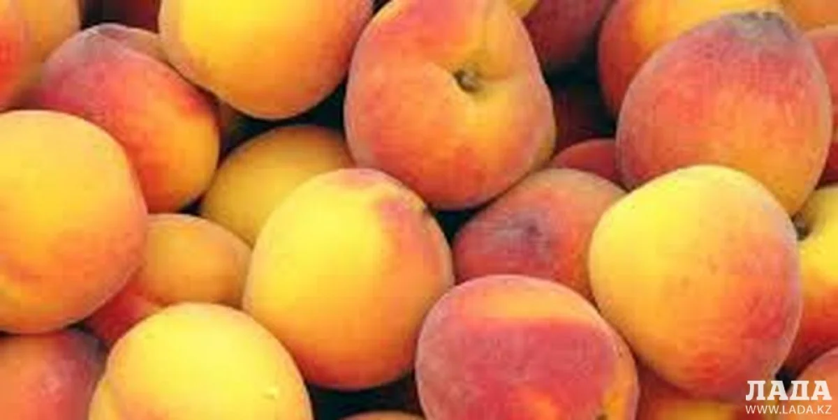 Фото с сайта foodinformer.ru