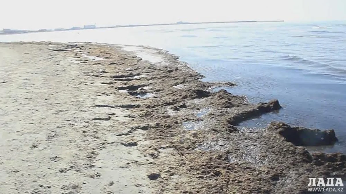 Фото Станиславы Куцай